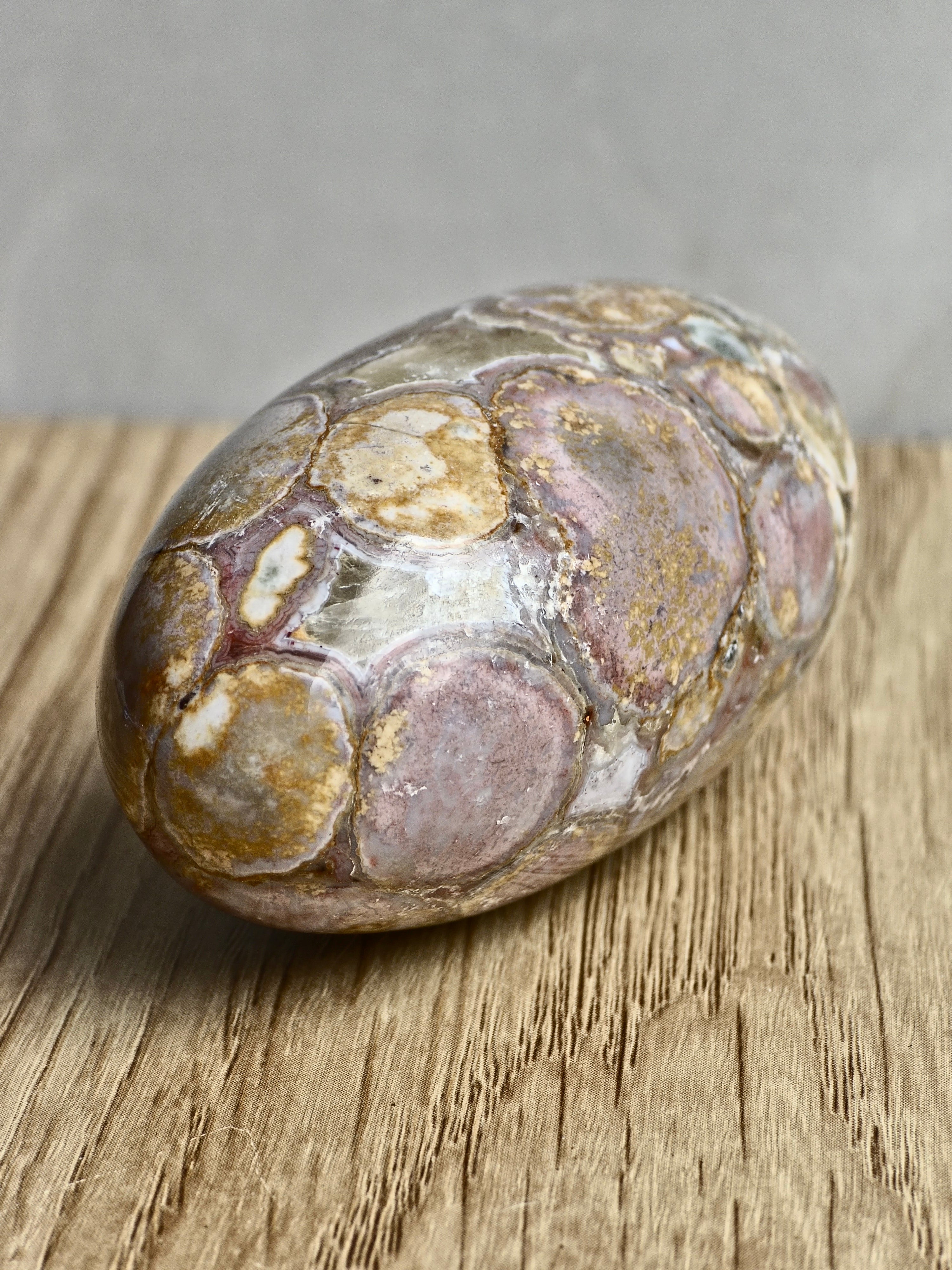 King Cobra (Orbicular) Indian Jasper Shiva Lingham