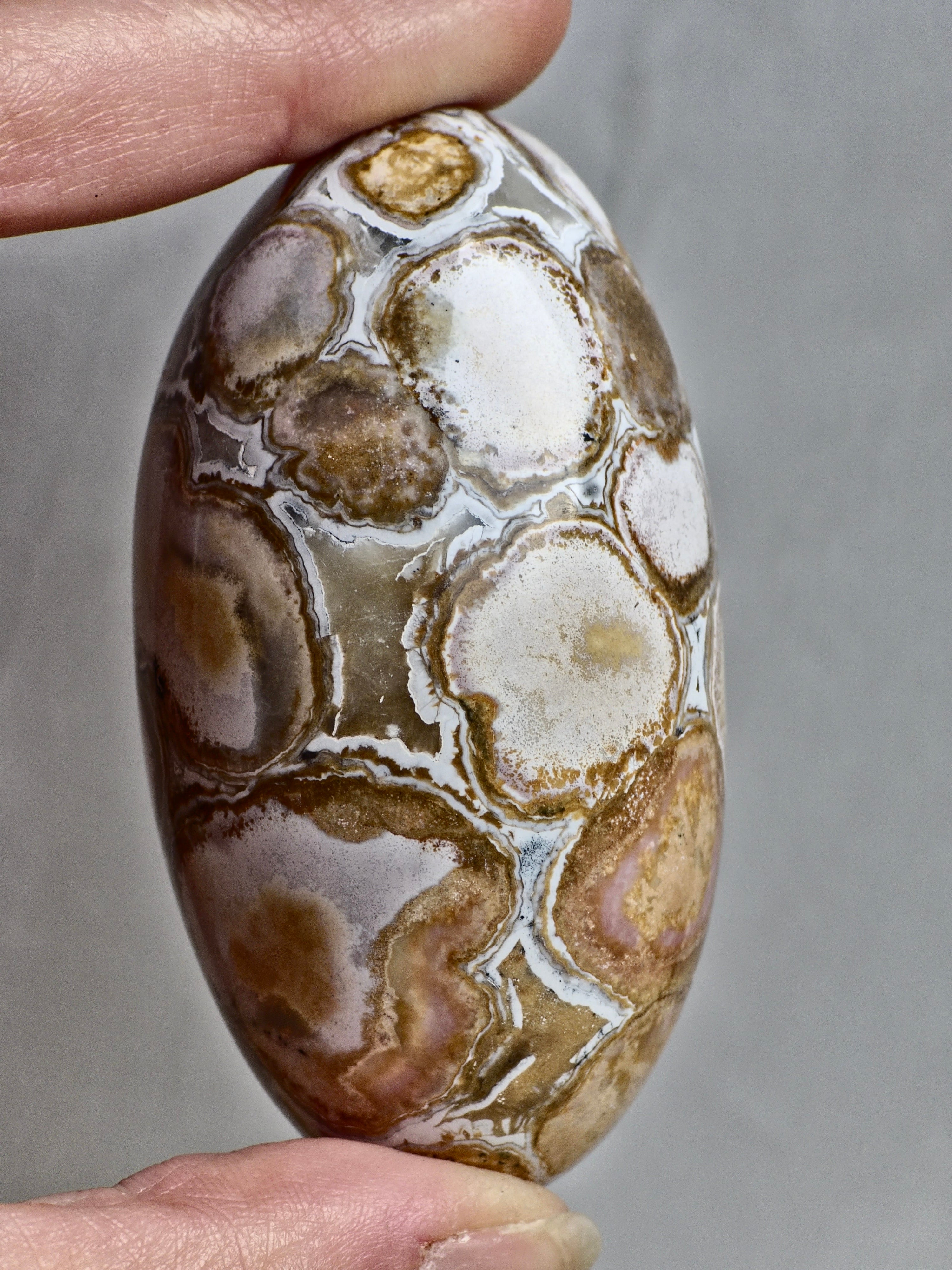 King Cobra (Orbicular) Indian Jasper Shiva Lingham