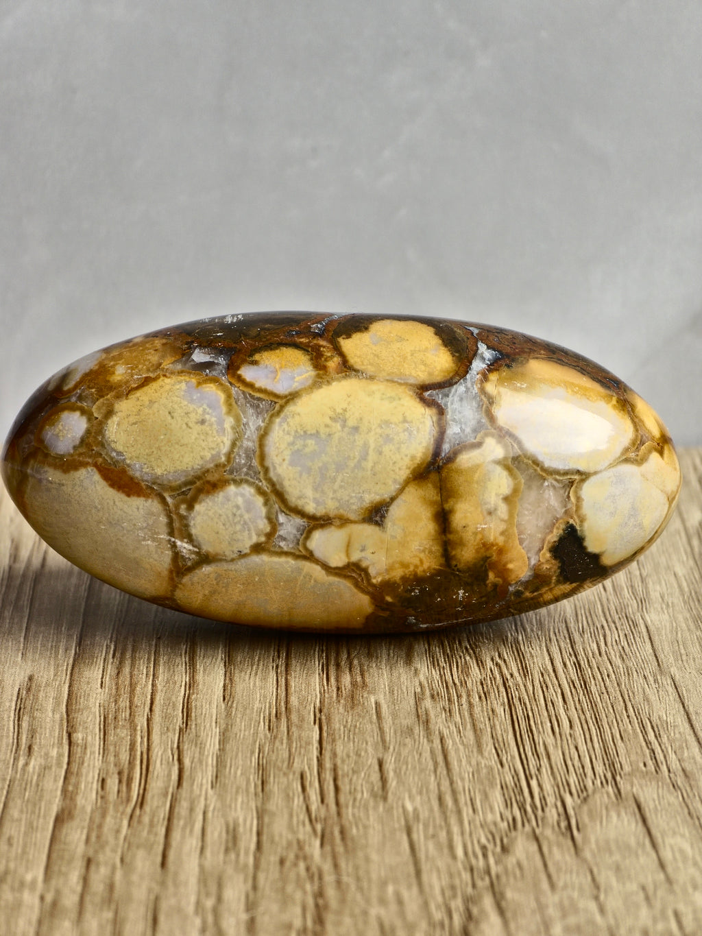 King Cobra (Orbicular) Indian Jasper Shiva Lingham