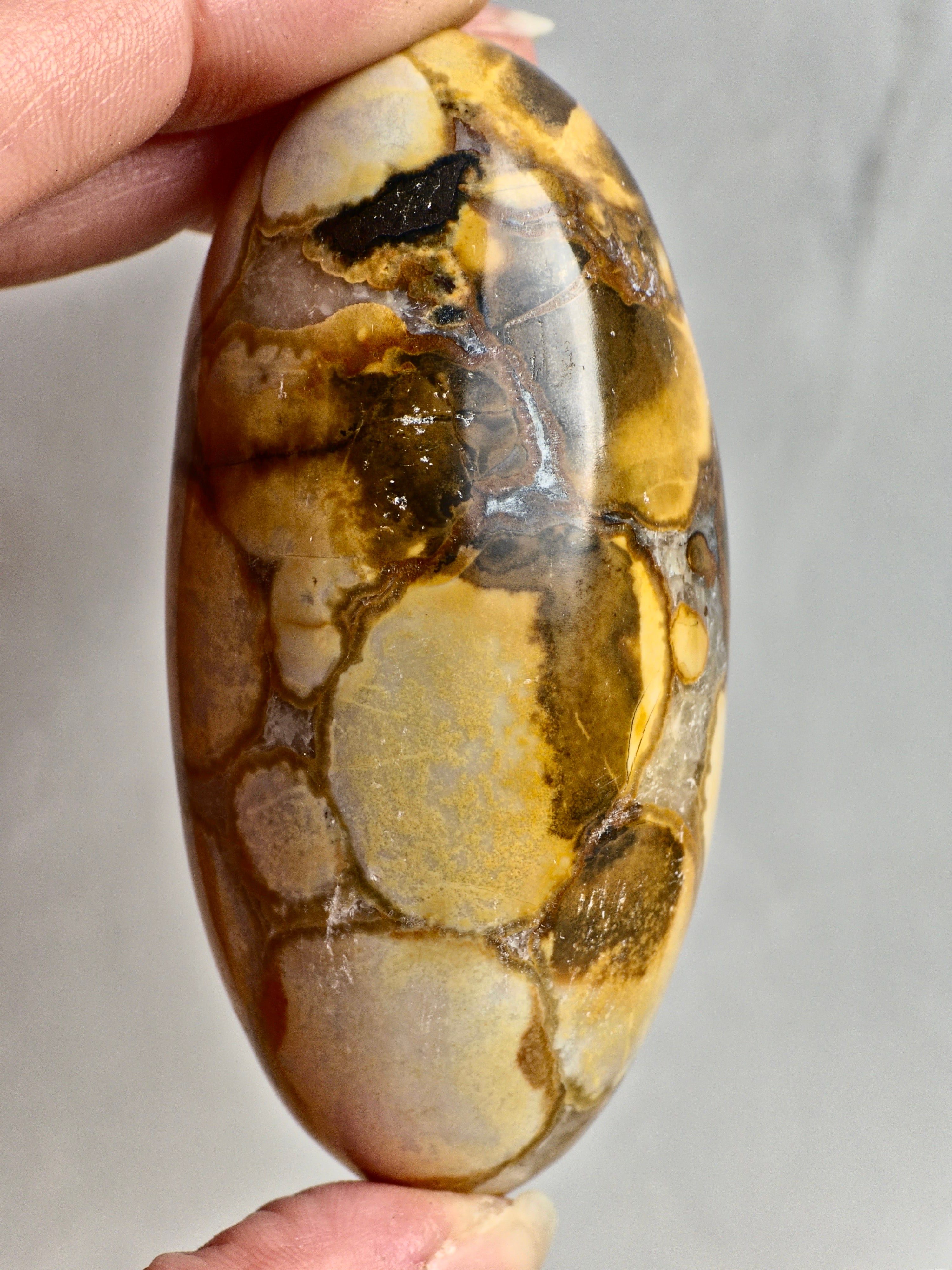King Cobra (Orbicular) Indian Jasper Shiva Lingham