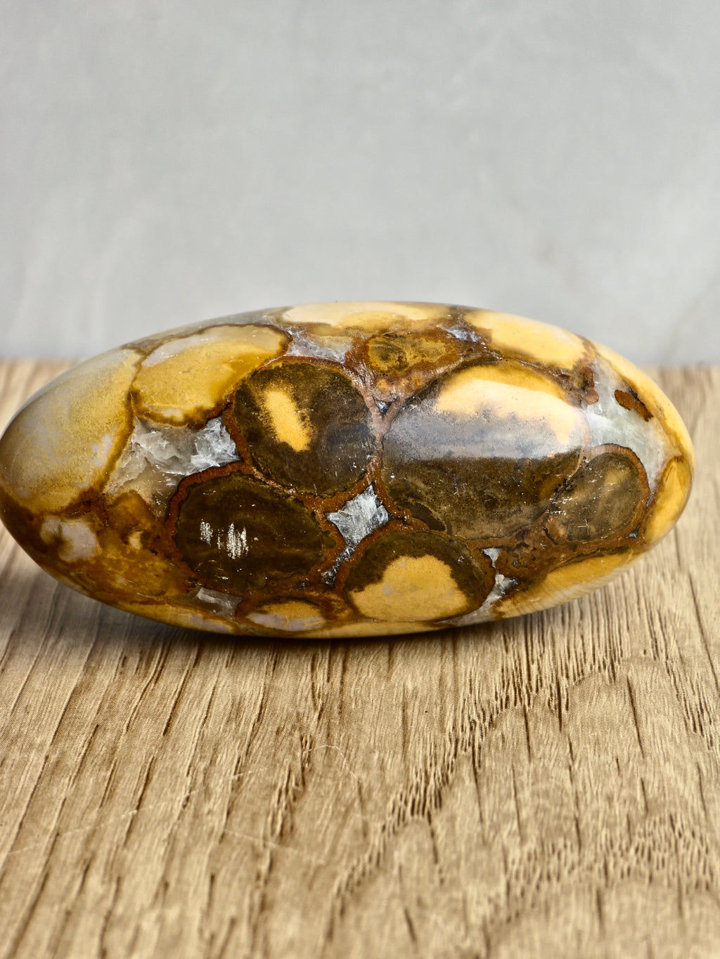 King Cobra (Orbicular) Indian Jasper Shiva Lingham
