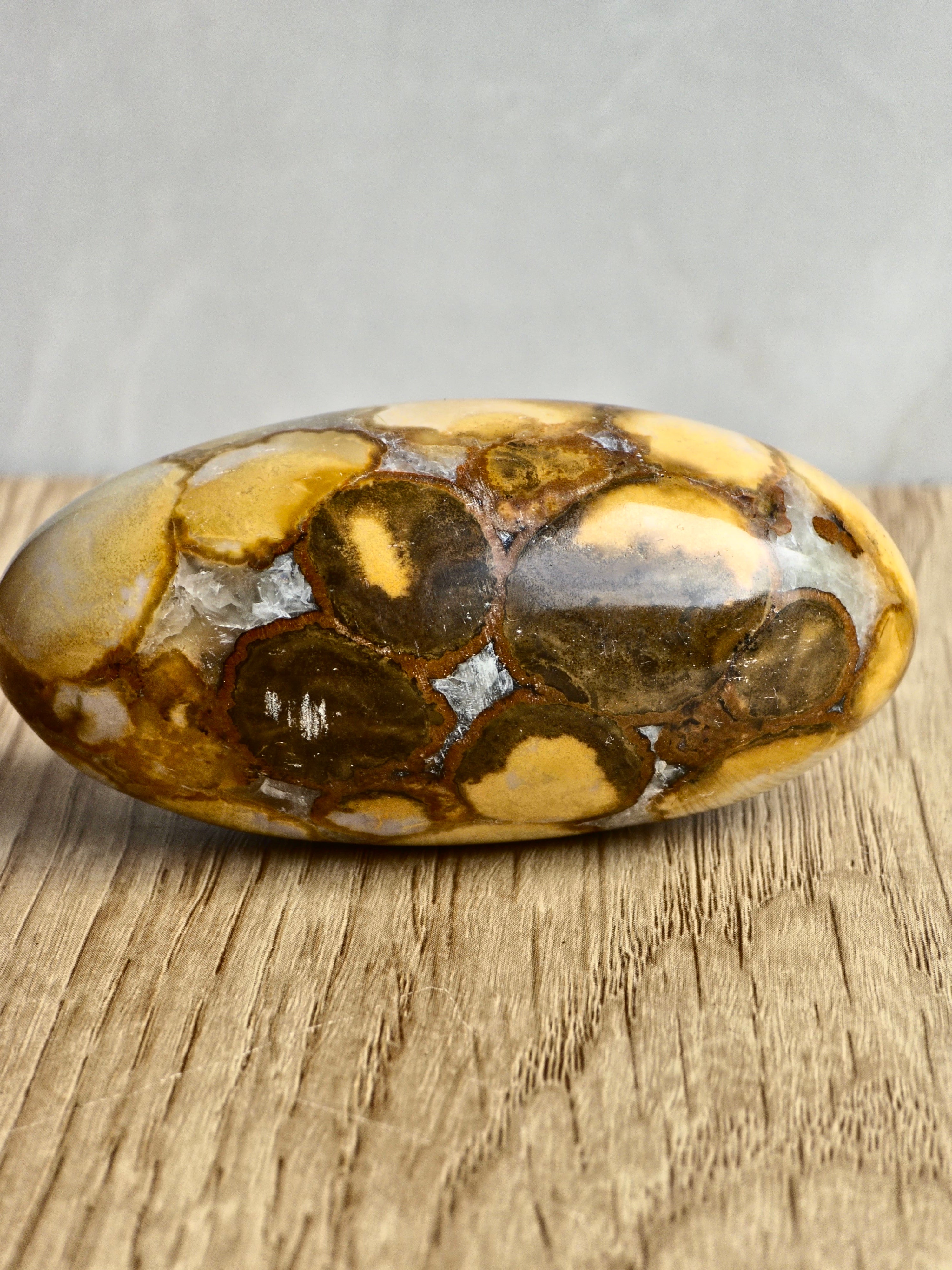 King Cobra (Orbicular) Indian Jasper Shiva Lingham