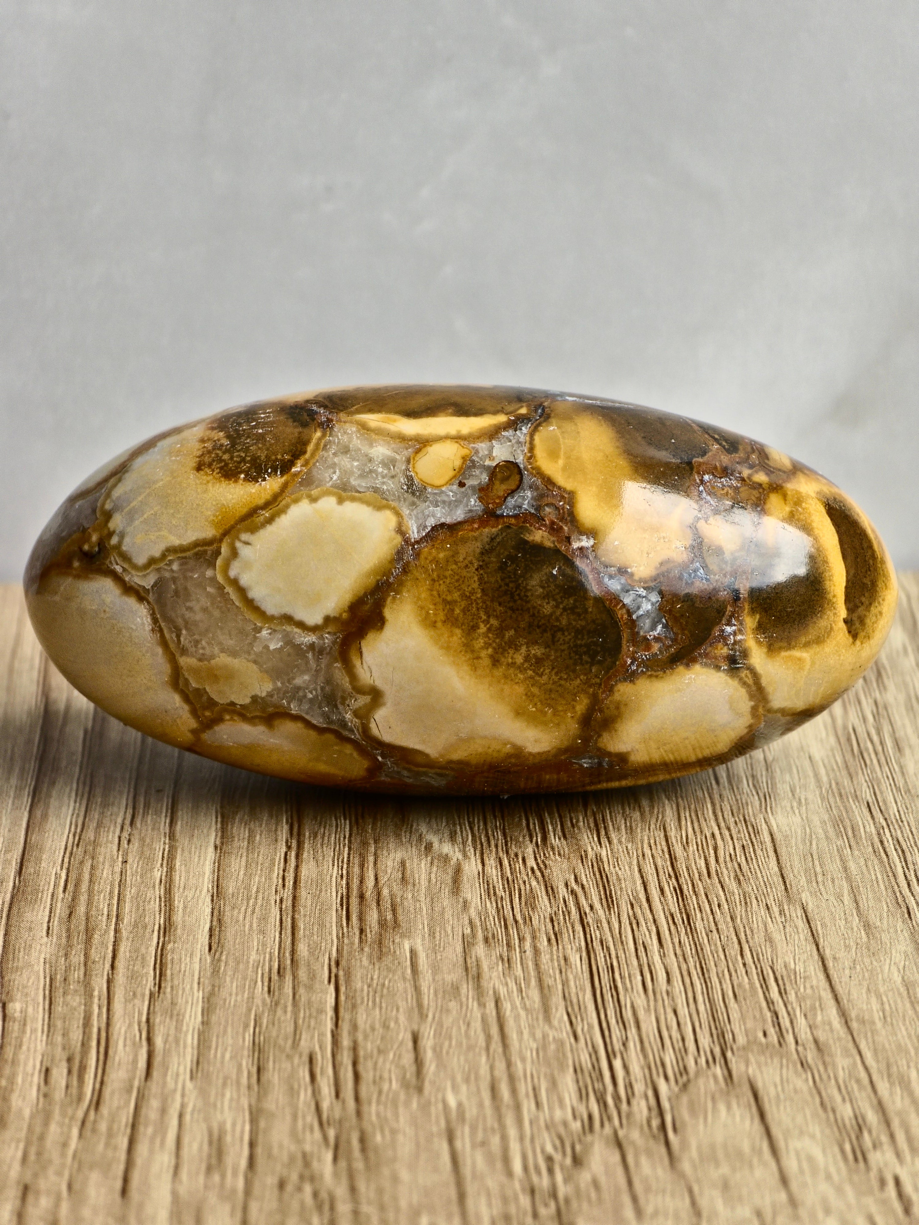 King Cobra (Orbicular) Indian Jasper Shiva Lingham