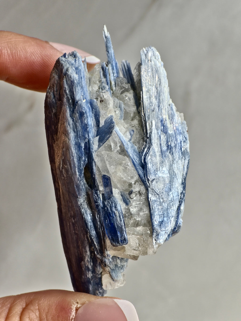 Blue Kyanite on Quartz — Bladed Crystal Growth with Quartz Matrix