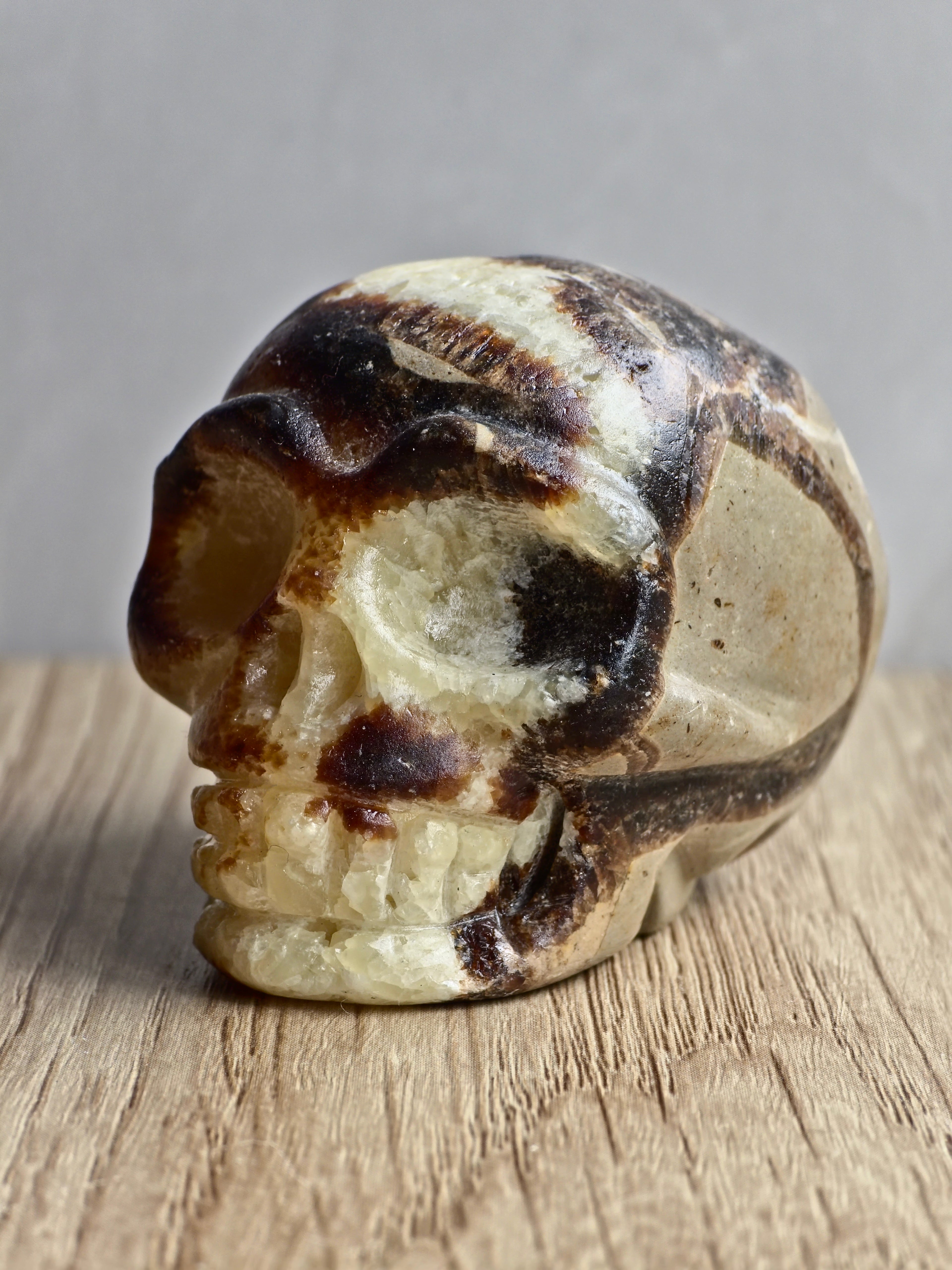 Septarian Skull Carving - UV Reactive