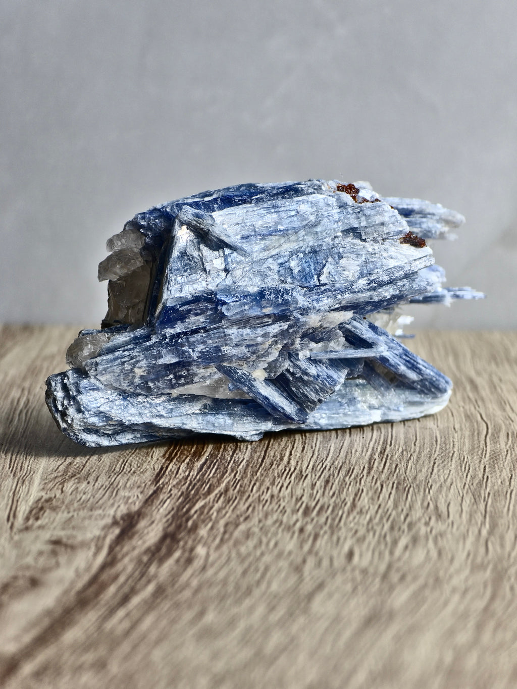 Blue Kyanite on Quartz — Bladed Crystal Growth with Quartz Matrix