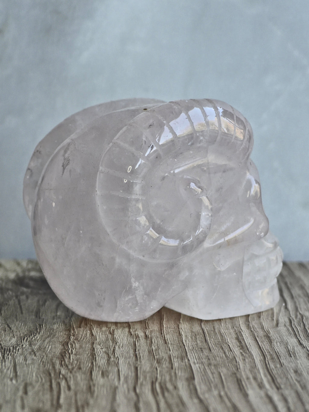 Rose quartz skull with ram horns