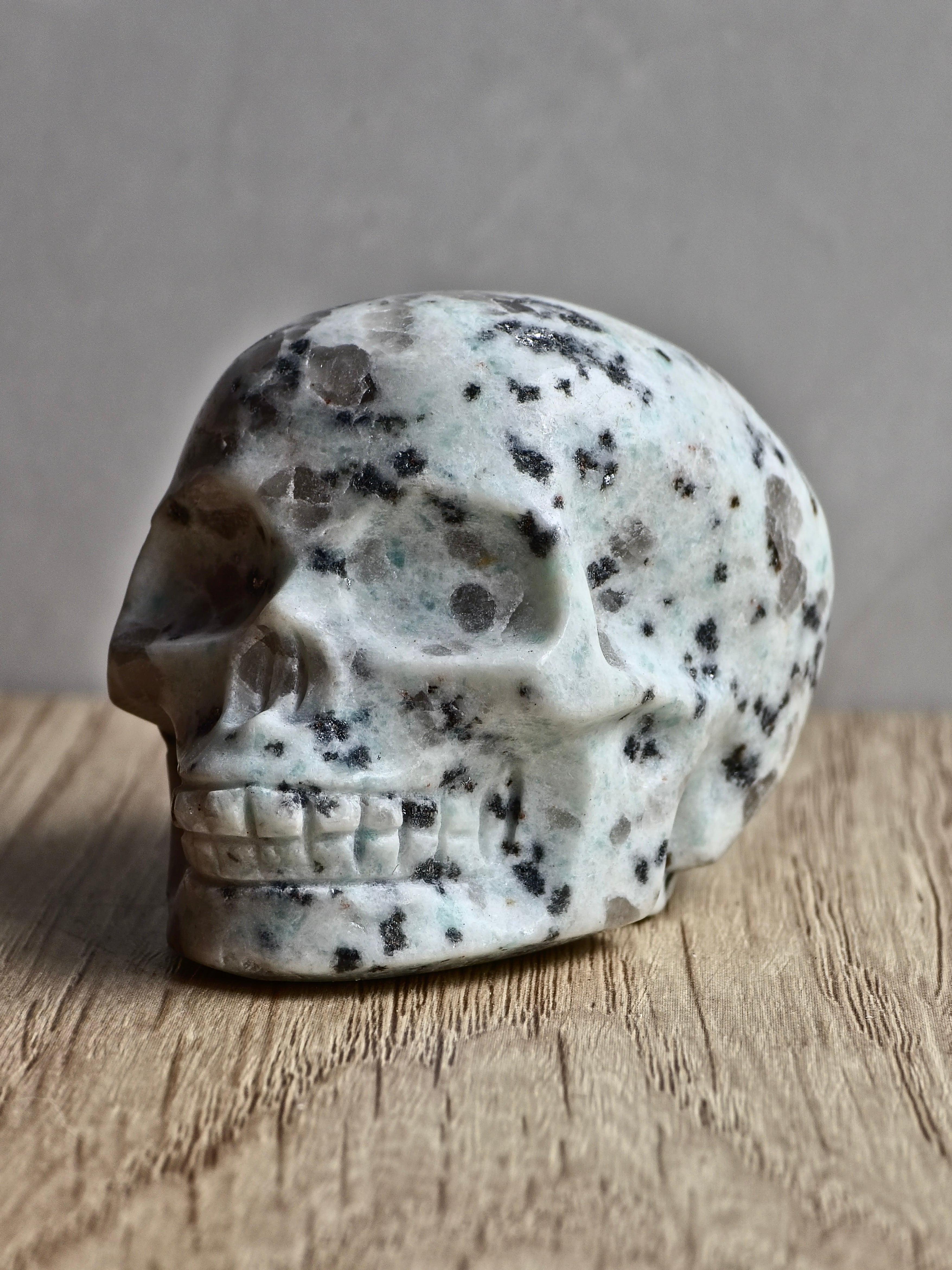 Kiwi Jasper Skull Carving
