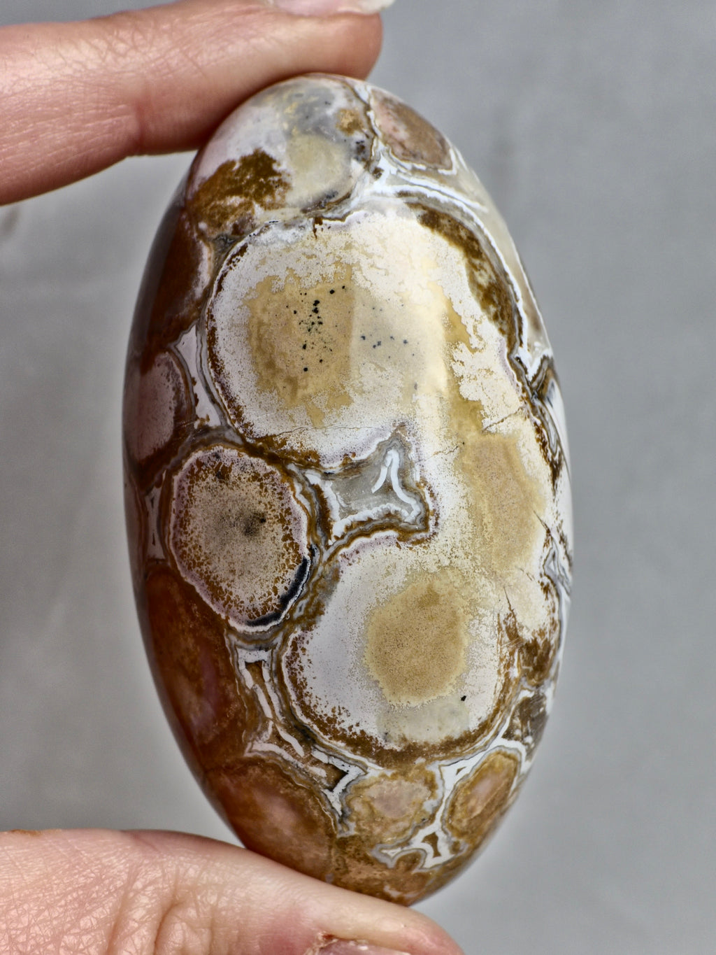 King Cobra (Orbicular) Indian Jasper Shiva Lingham