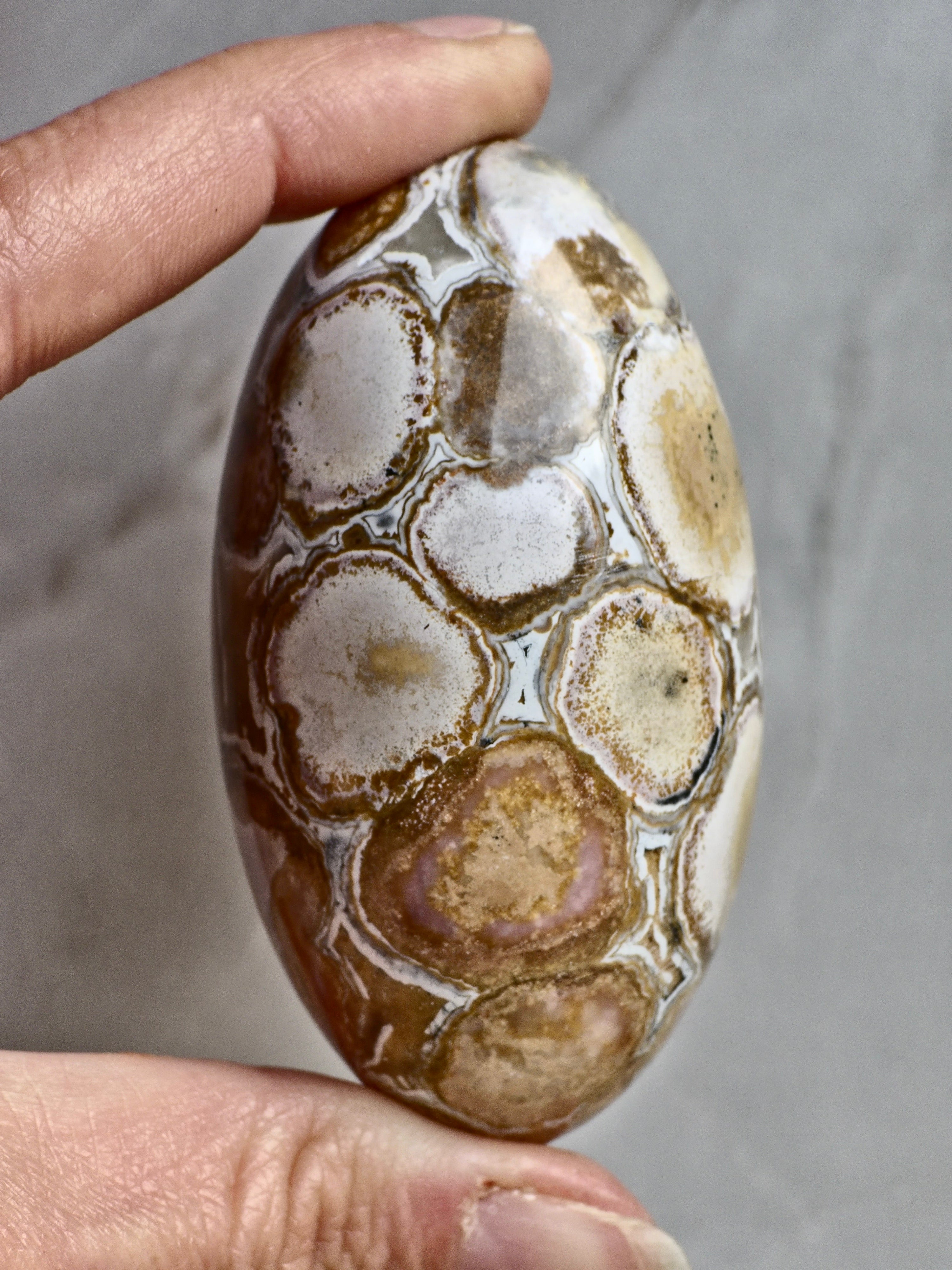 King Cobra (Orbicular) Indian Jasper Shiva Lingham