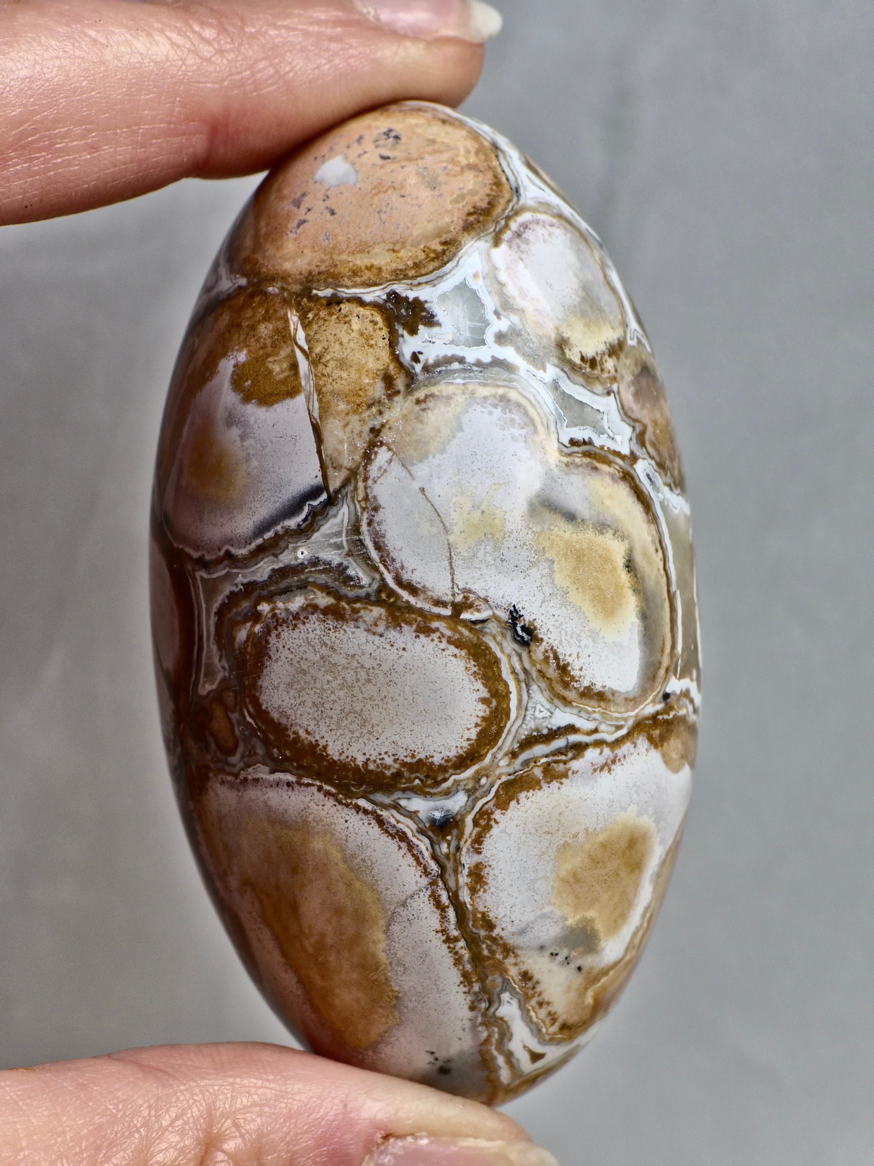 King Cobra (Orbicular) Indian Jasper Shiva Lingham