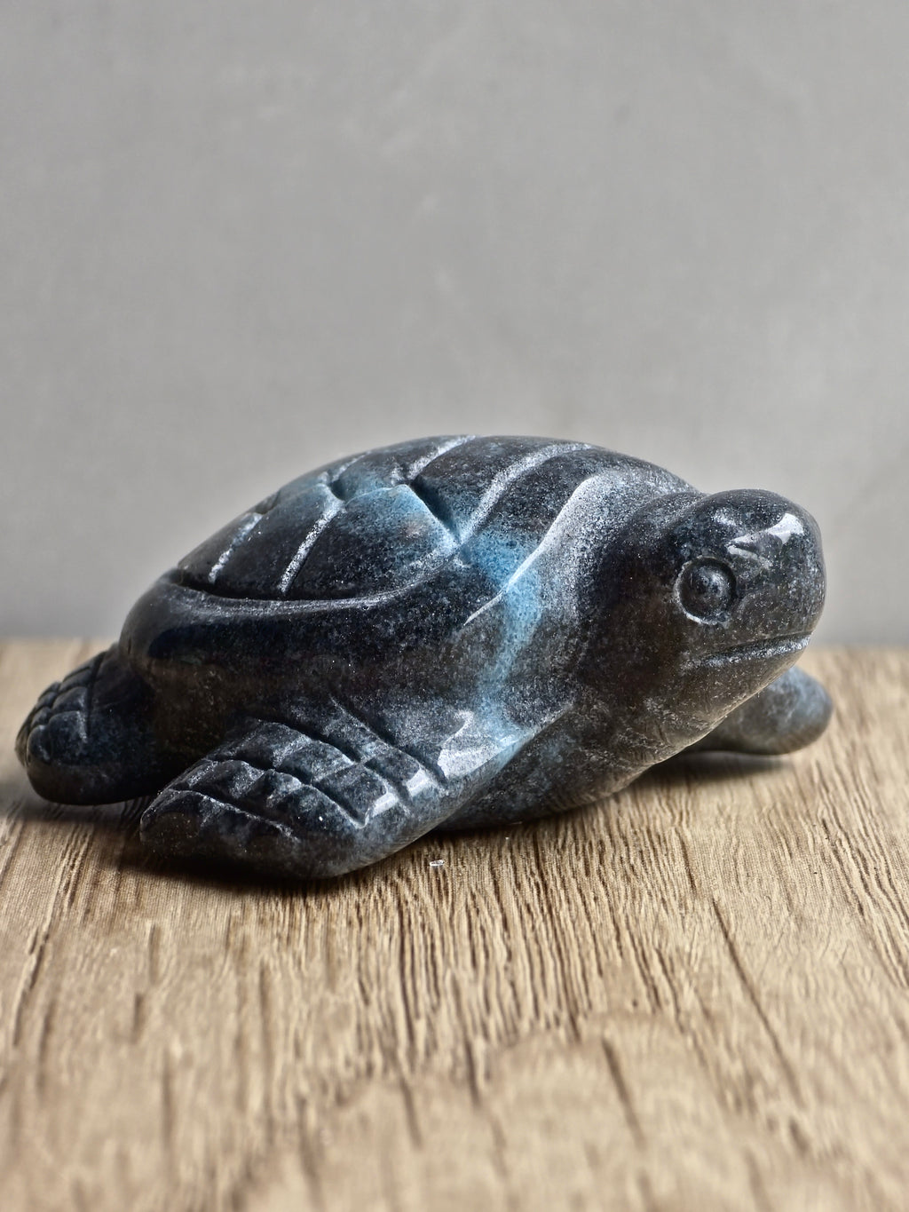 Blue Trolleite Turtle