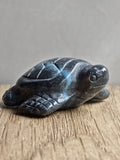 Blue Trolleite Turtle