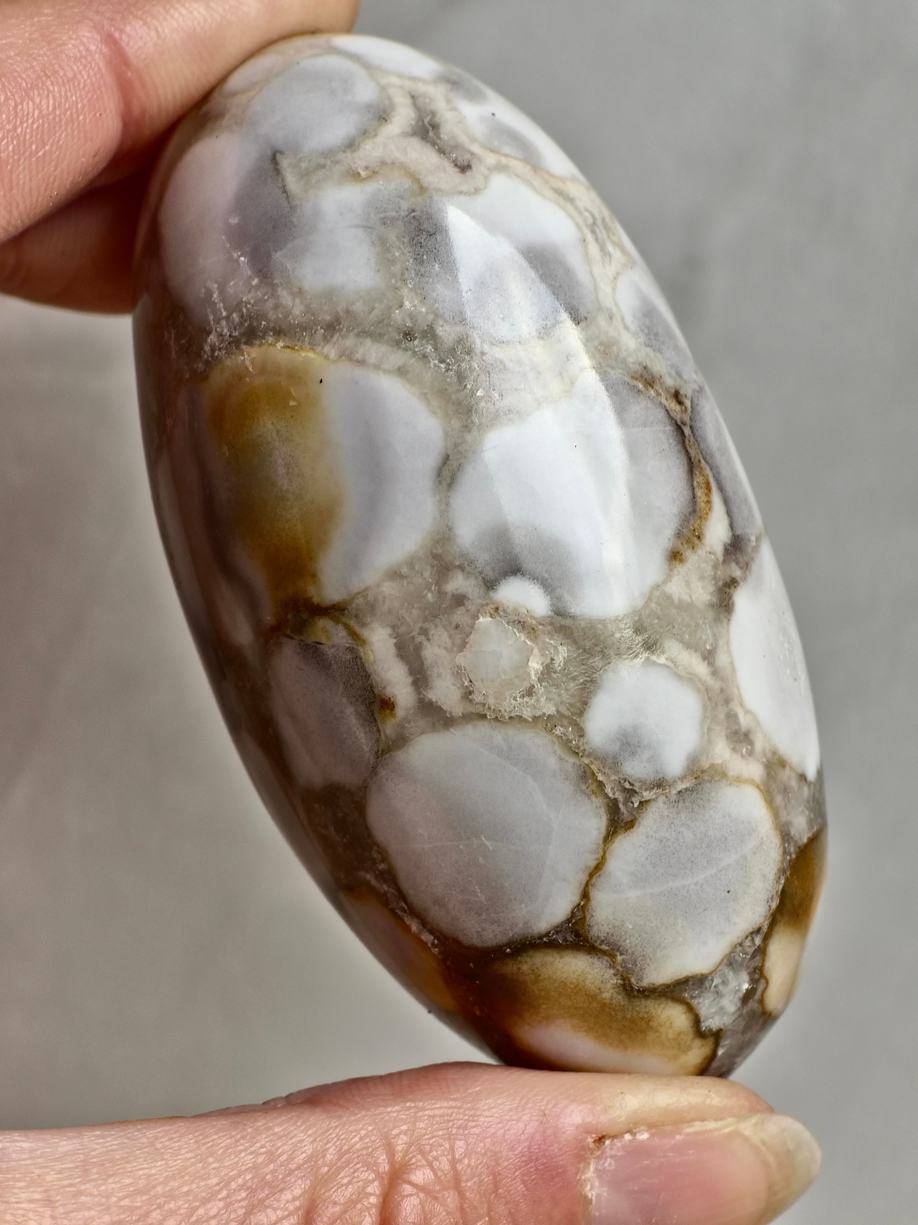 King Cobra (Orbicular) Indian Jasper Shiva Lingham