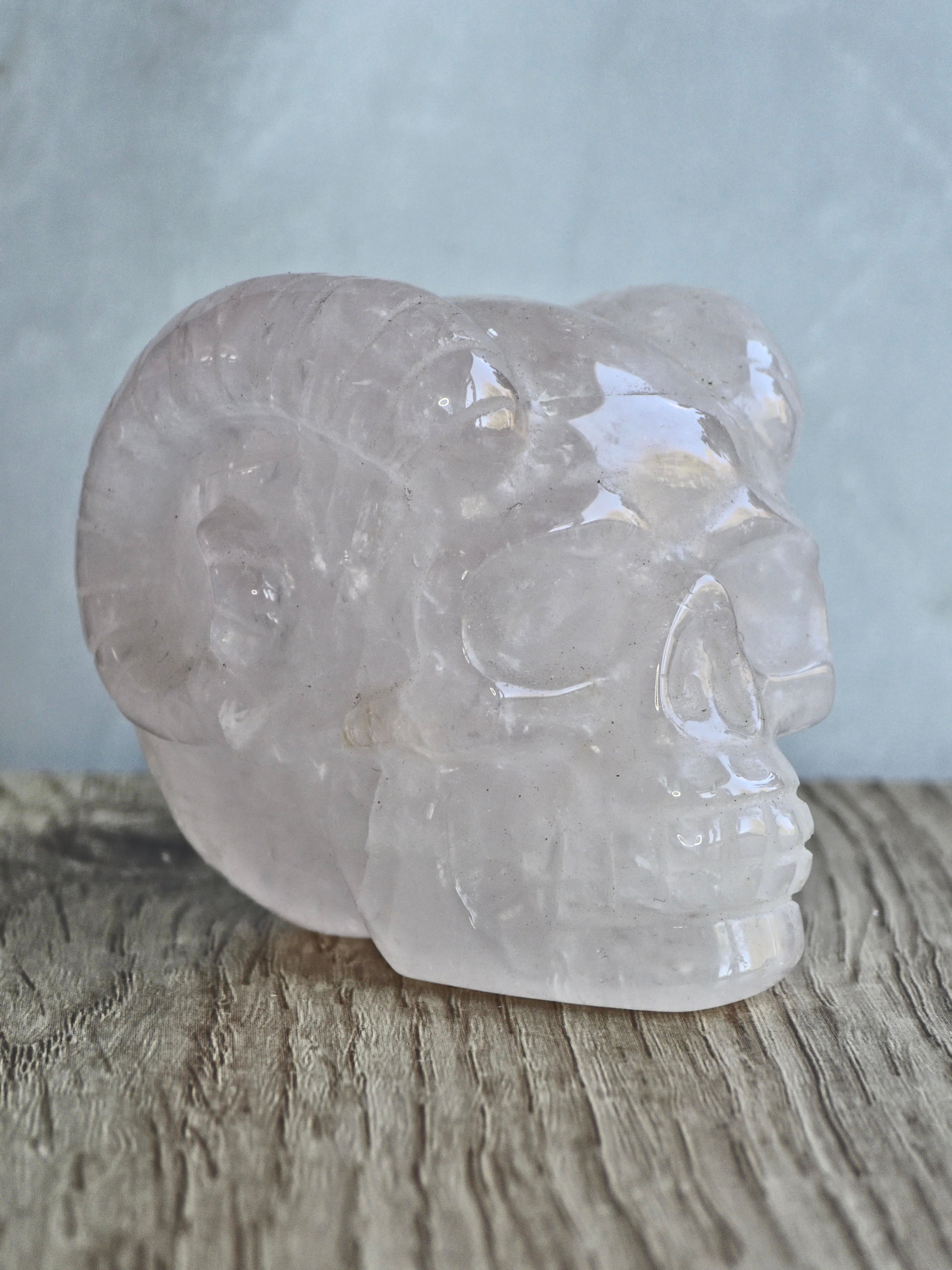 Rose quartz skull with ram horns