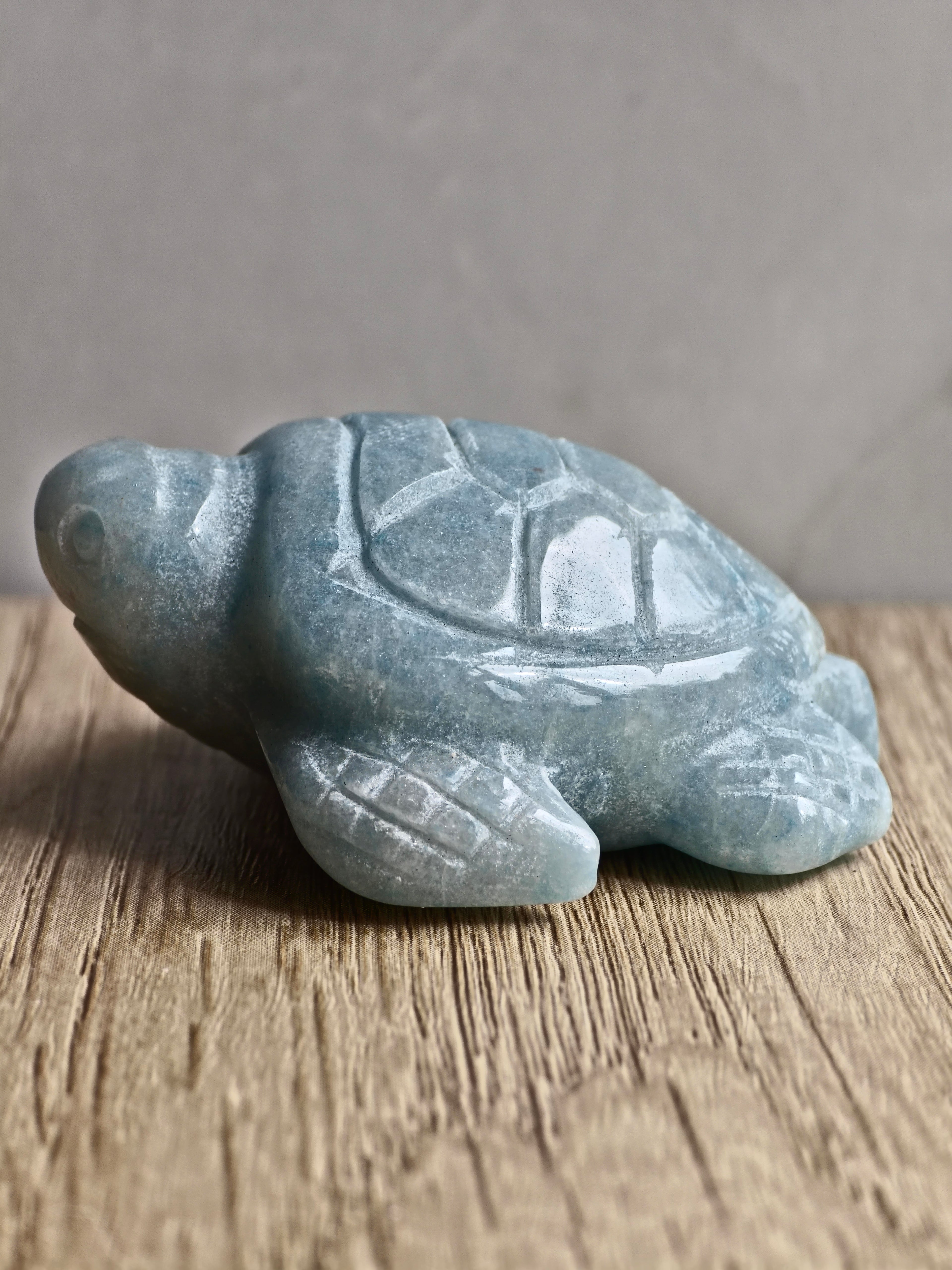 Blue Trolleite Turtle