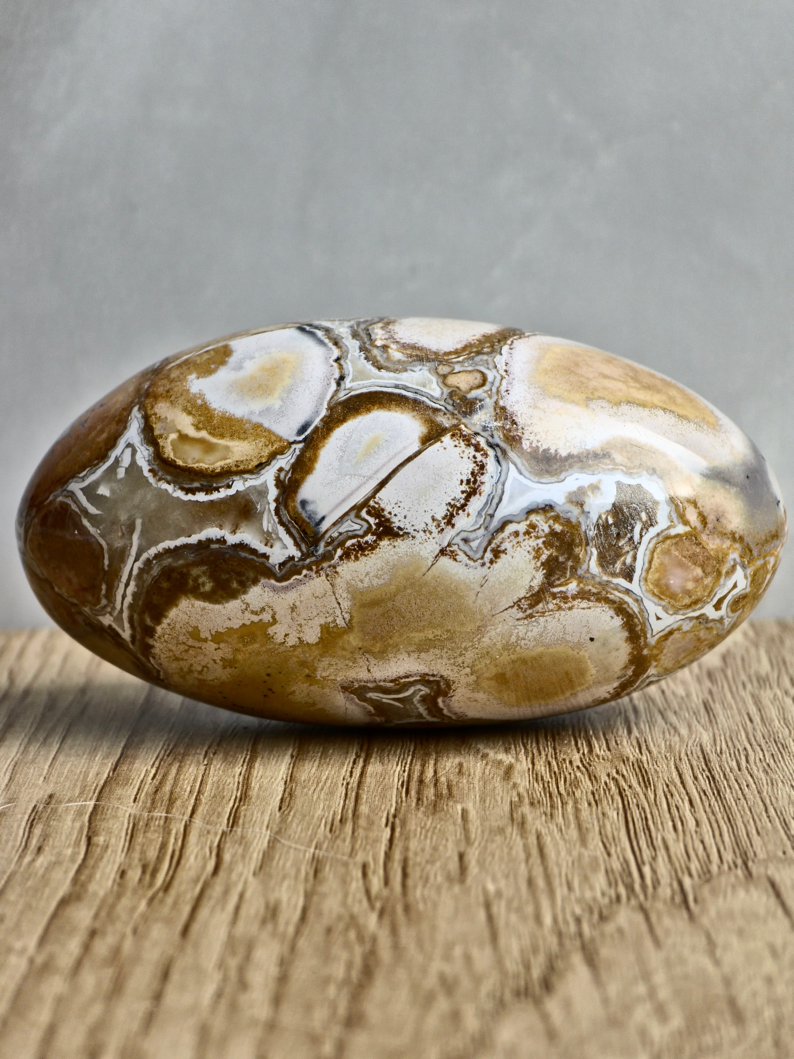 King Cobra (Orbicular) Indian Jasper Shiva Lingham