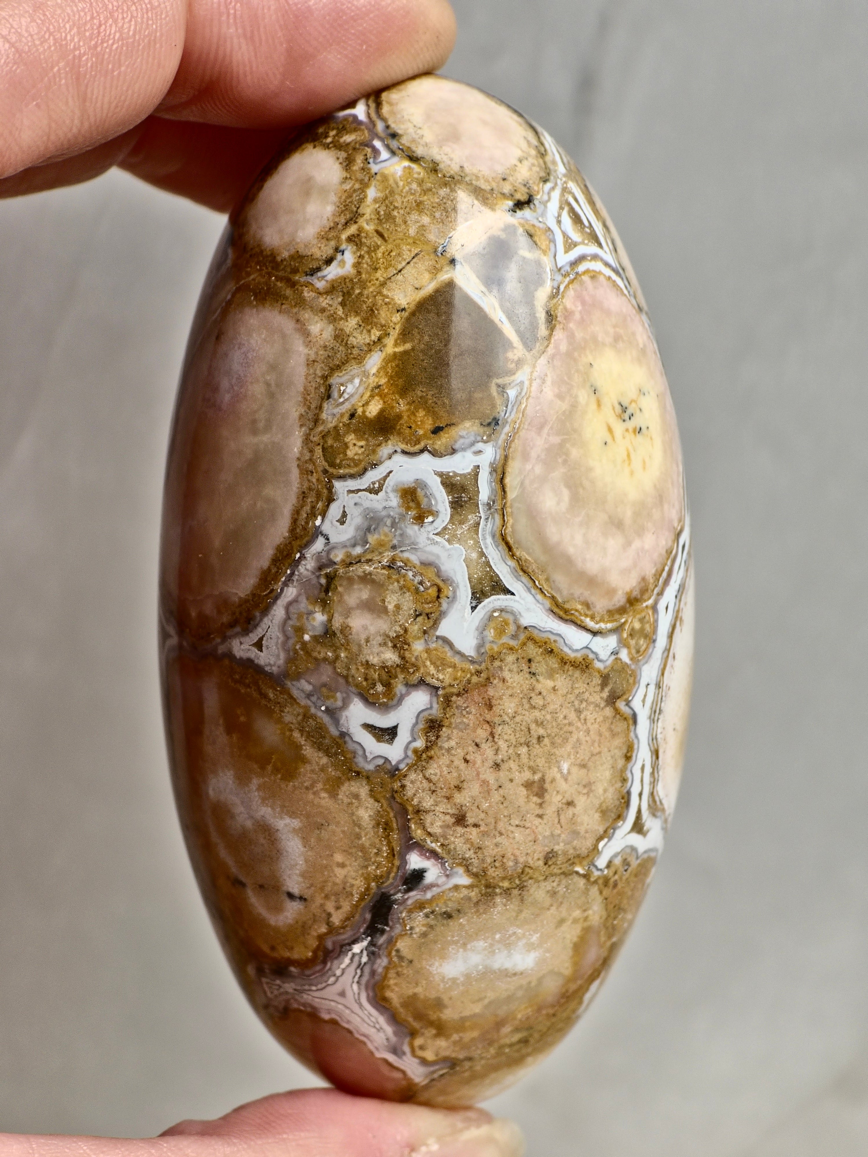 King Cobra (Orbicular) Indian Jasper Shiva Lingham