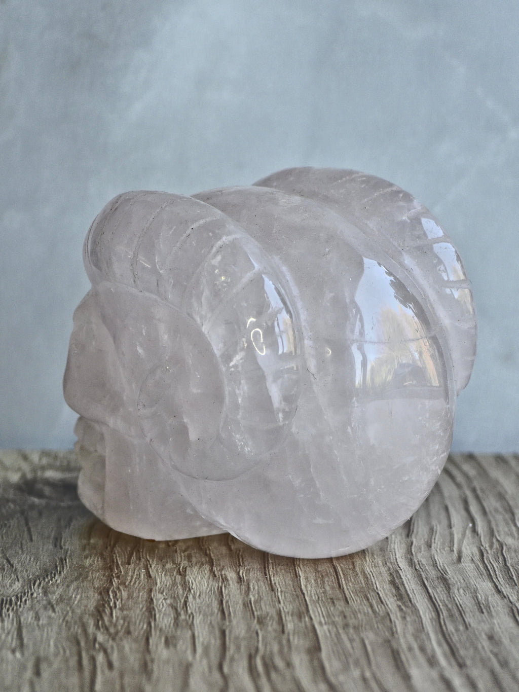 Rose quartz skull with ram horns