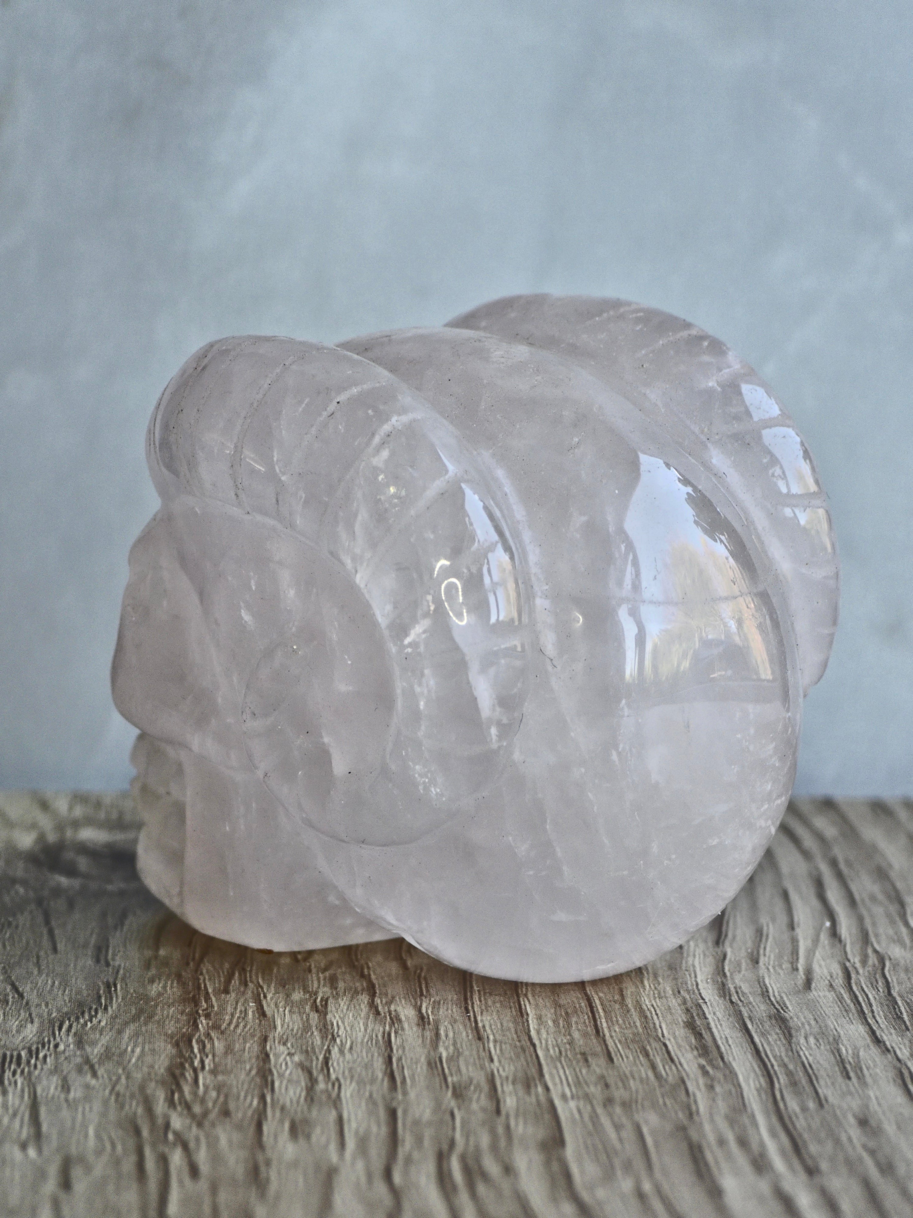 Rose quartz skull with ram horns