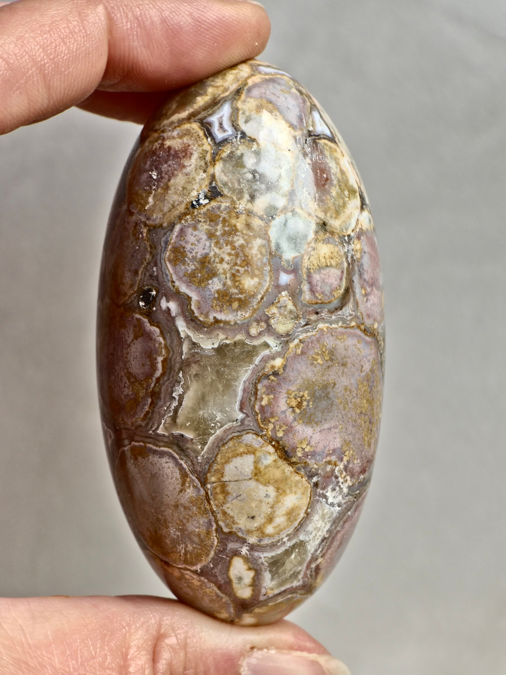 King Cobra (Orbicular) Indian Jasper Shiva Lingham