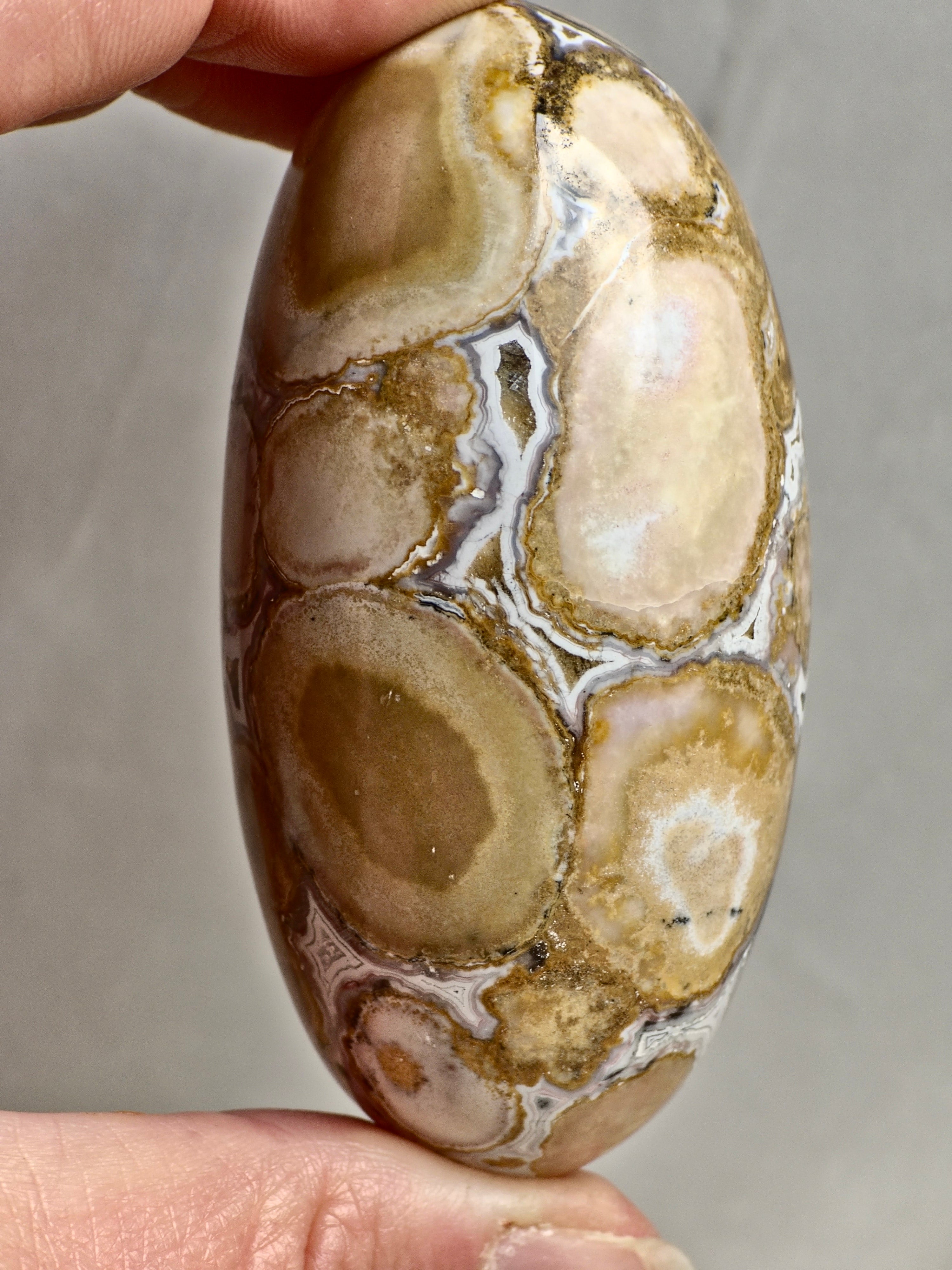 King Cobra (Orbicular) Indian Jasper Shiva Lingham