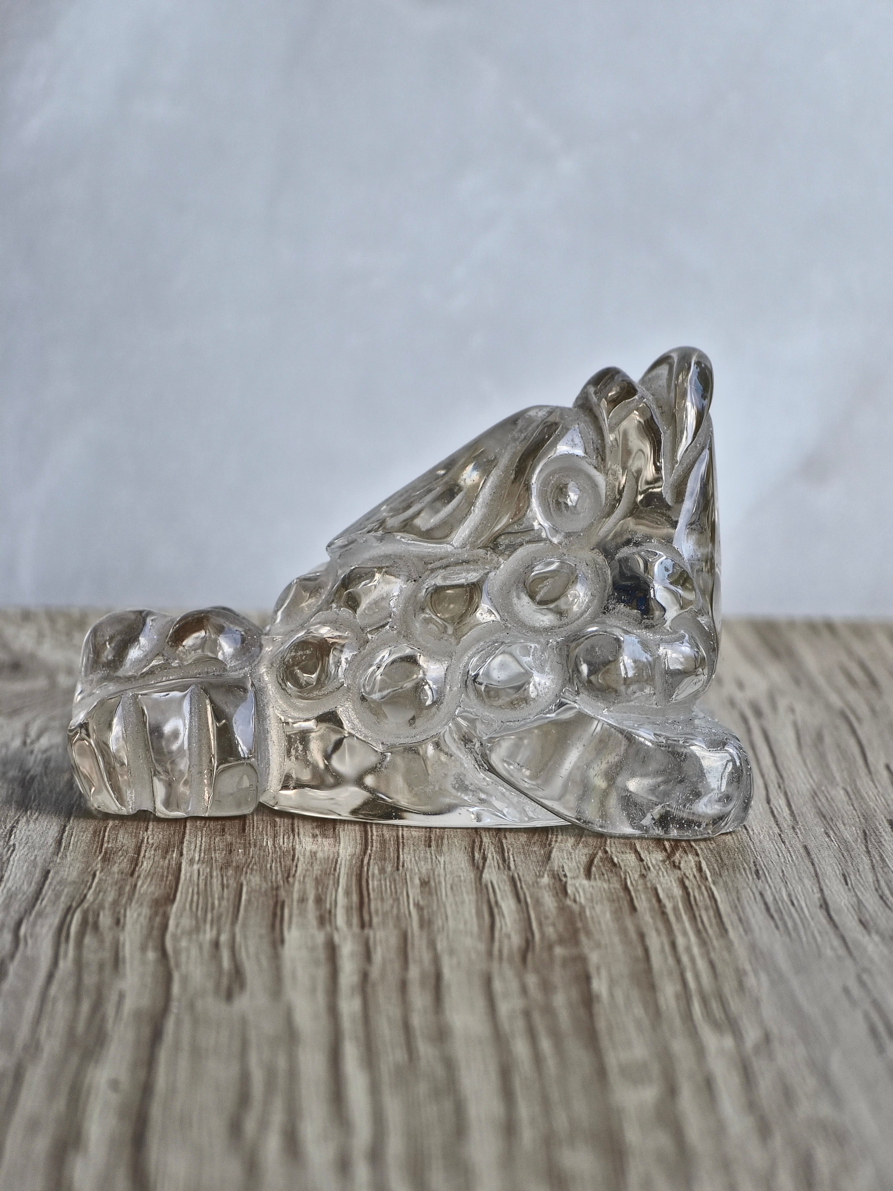 Clear Quartz Money Toad