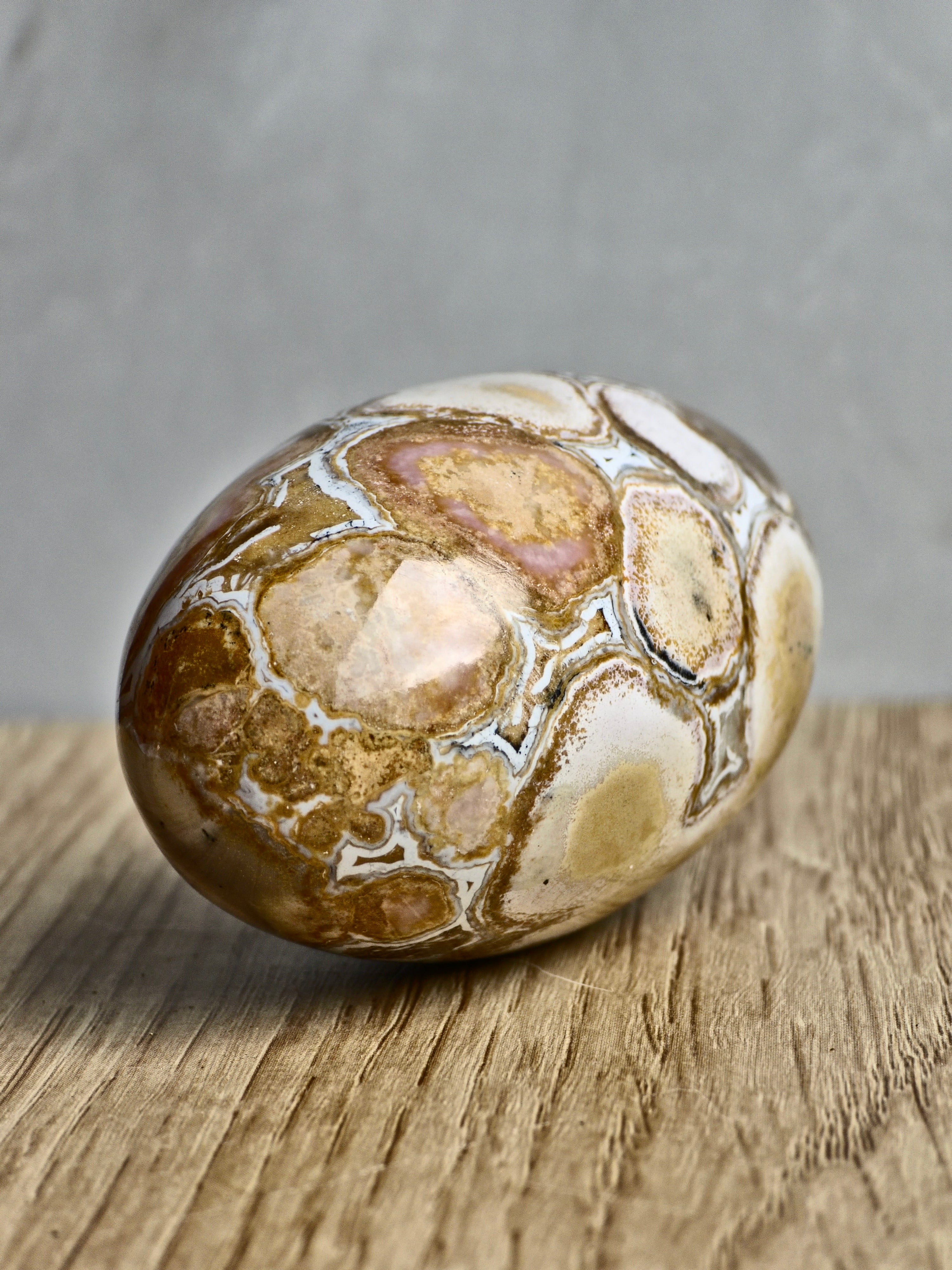 King Cobra (Orbicular) Indian Jasper Shiva Lingham