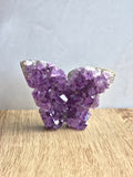 Amethyst Druzy Butterfly Carving