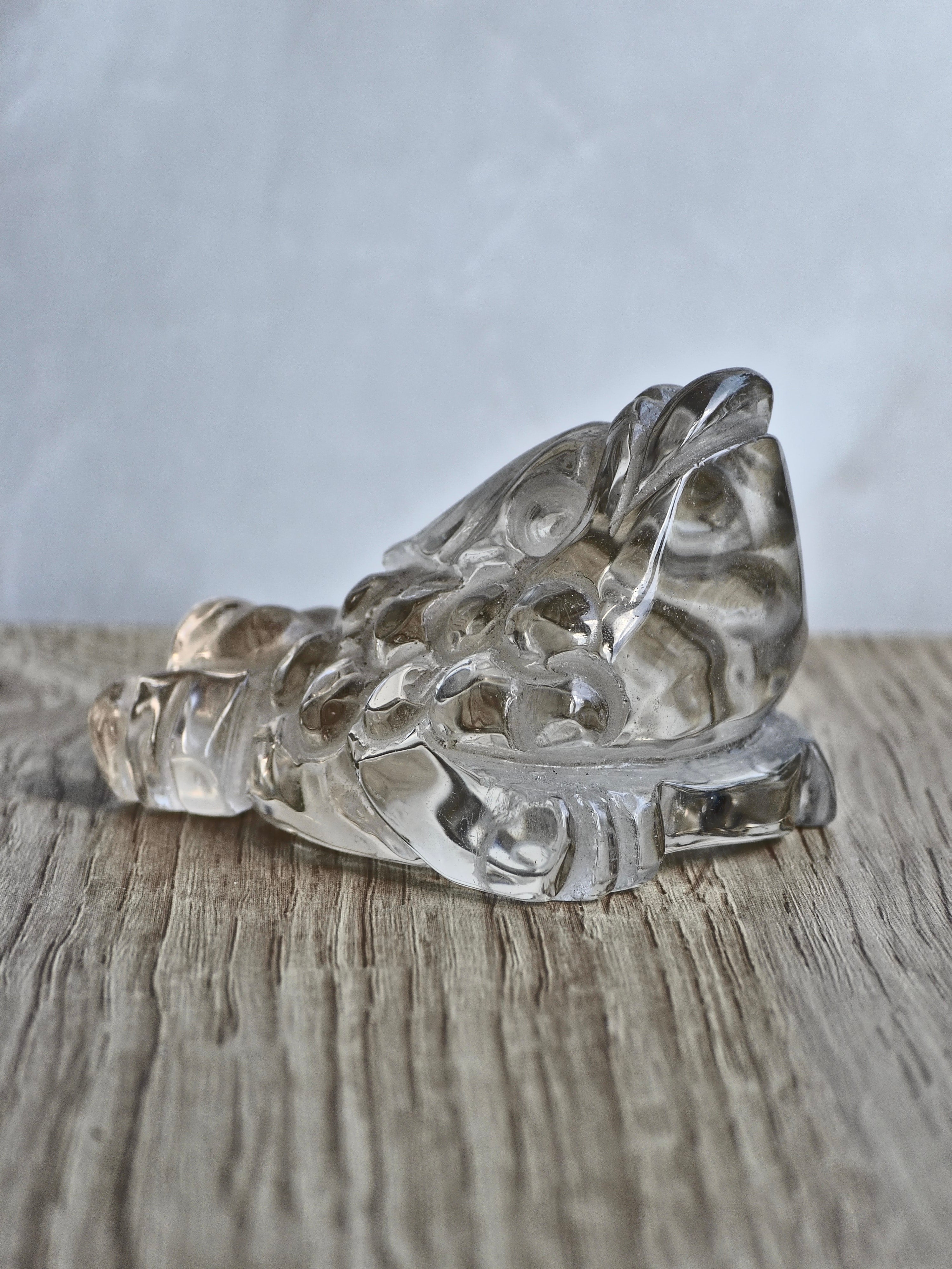Clear Quartz Money Toad