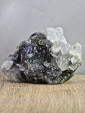 Diamond Apophyllite Cluster on Chalcedony — High Lustre Terminations with Botryoidal Matrix