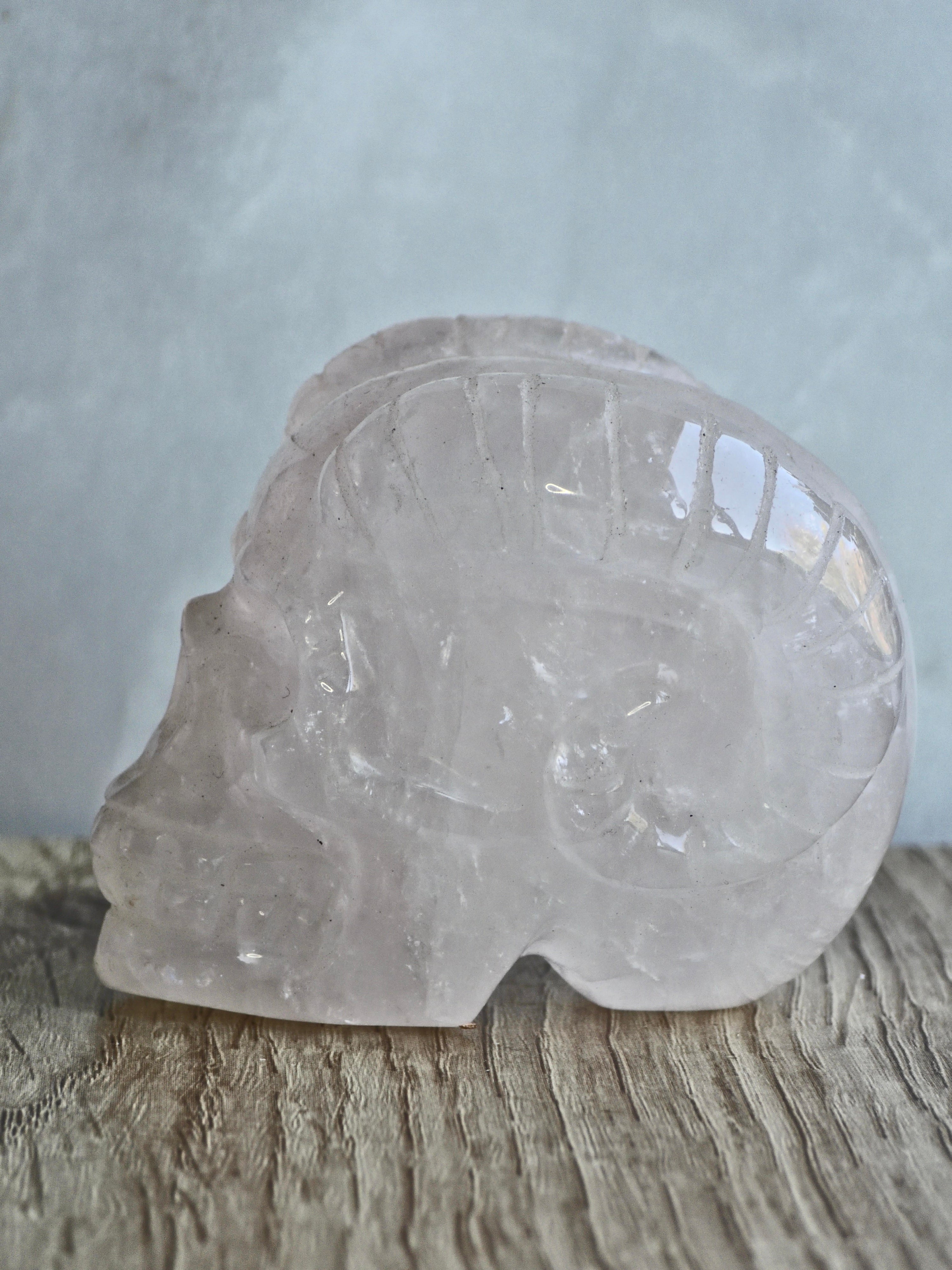 Rose quartz skull with ram horns