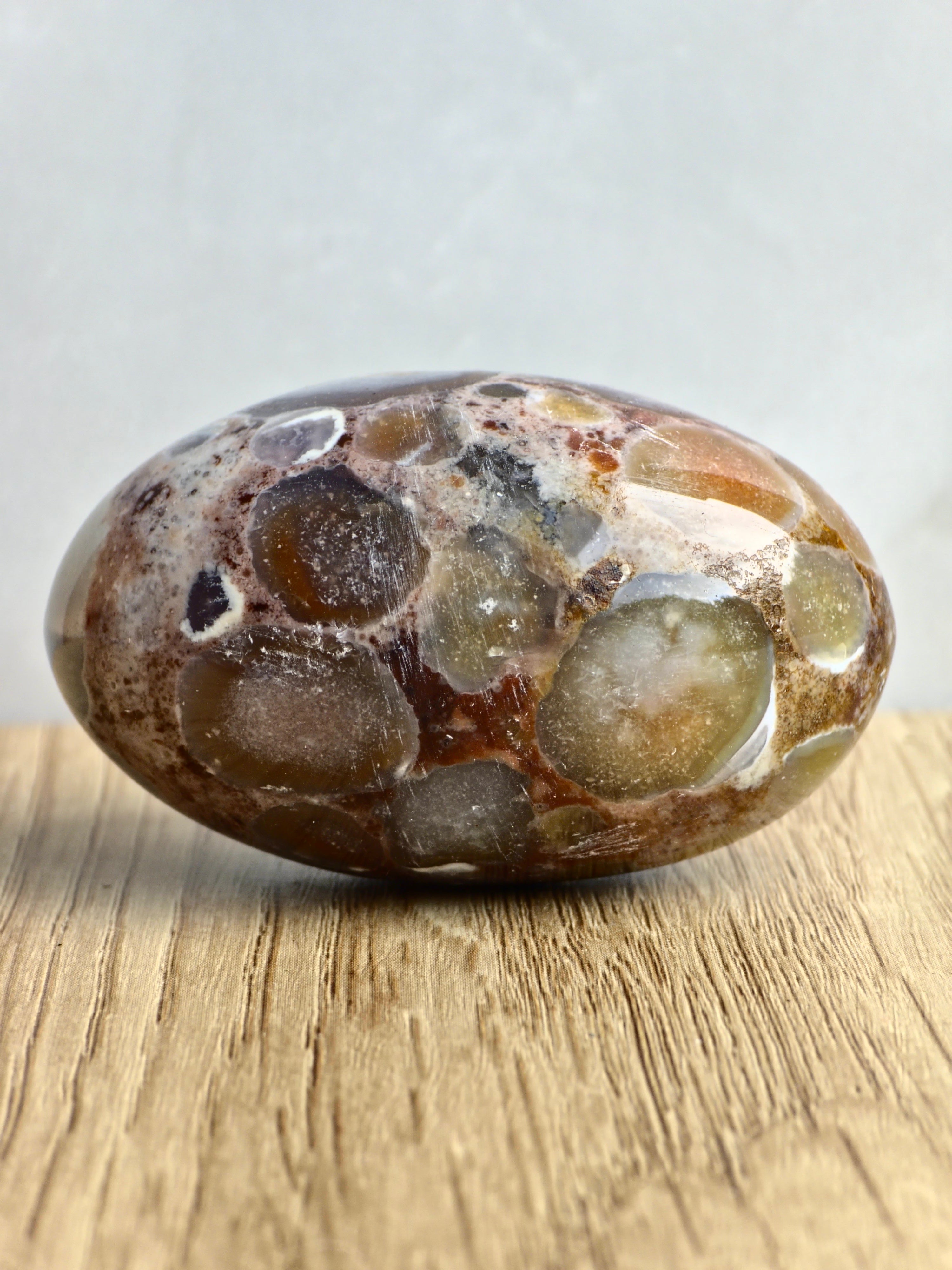King Cobra (Orbicular) Indian Jasper Shiva Lingham