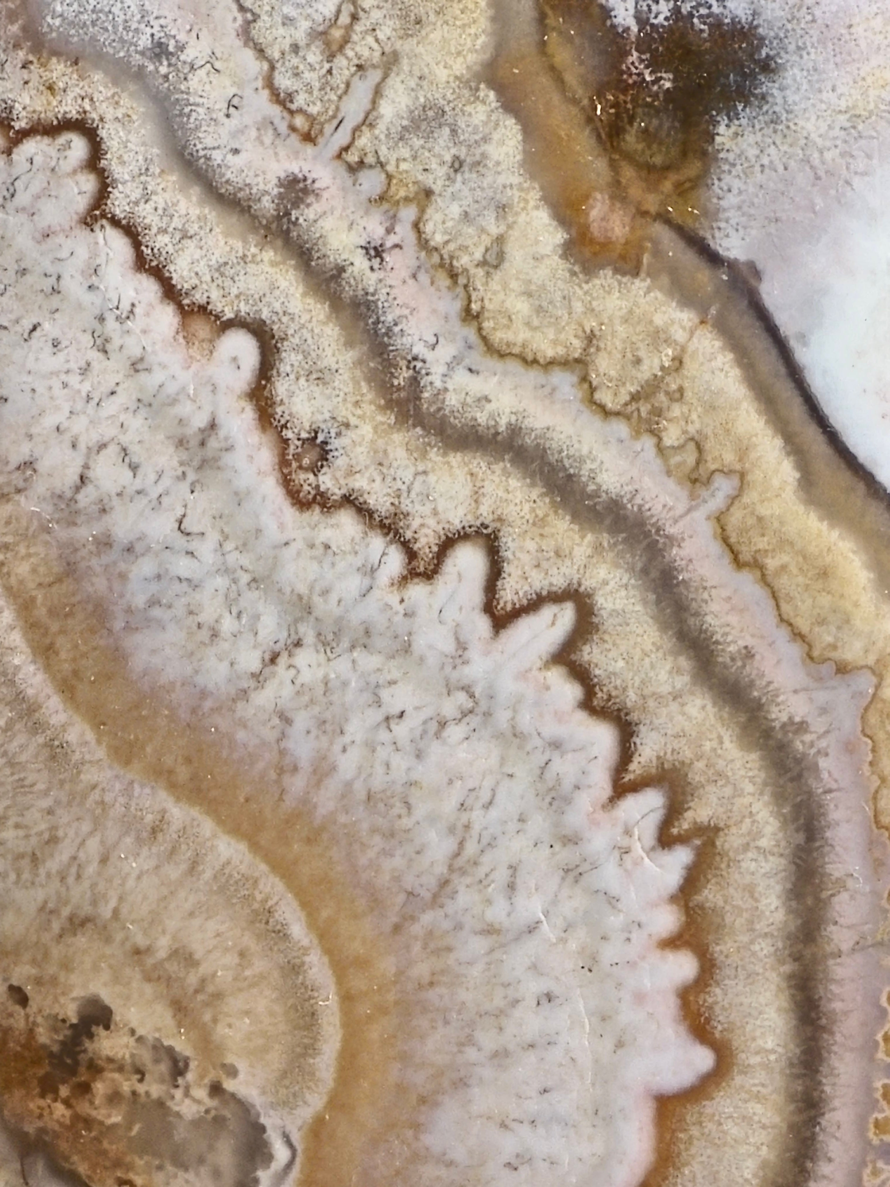 Mexican Lace Agate Flame