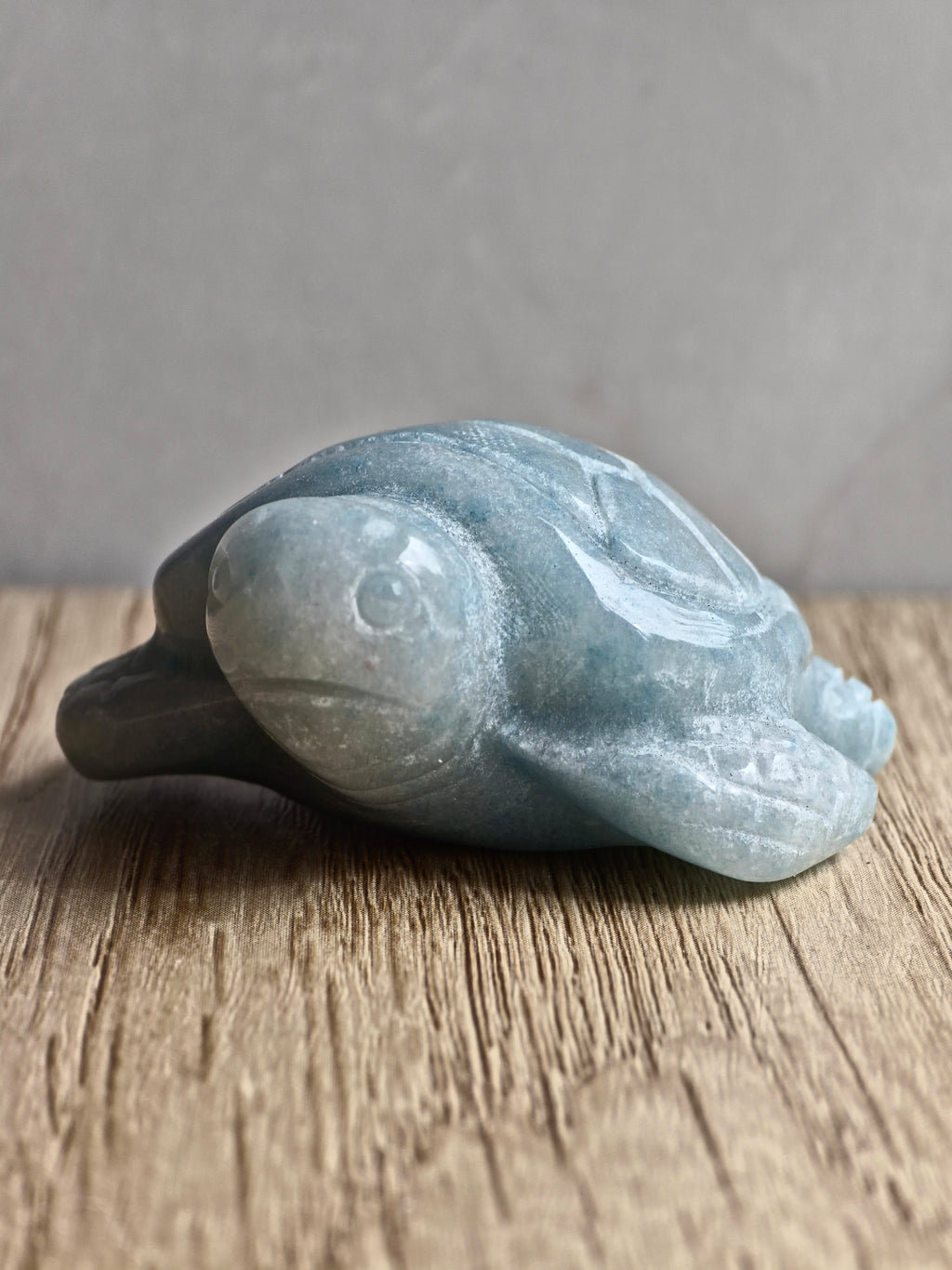 Blue Trolleite Turtle