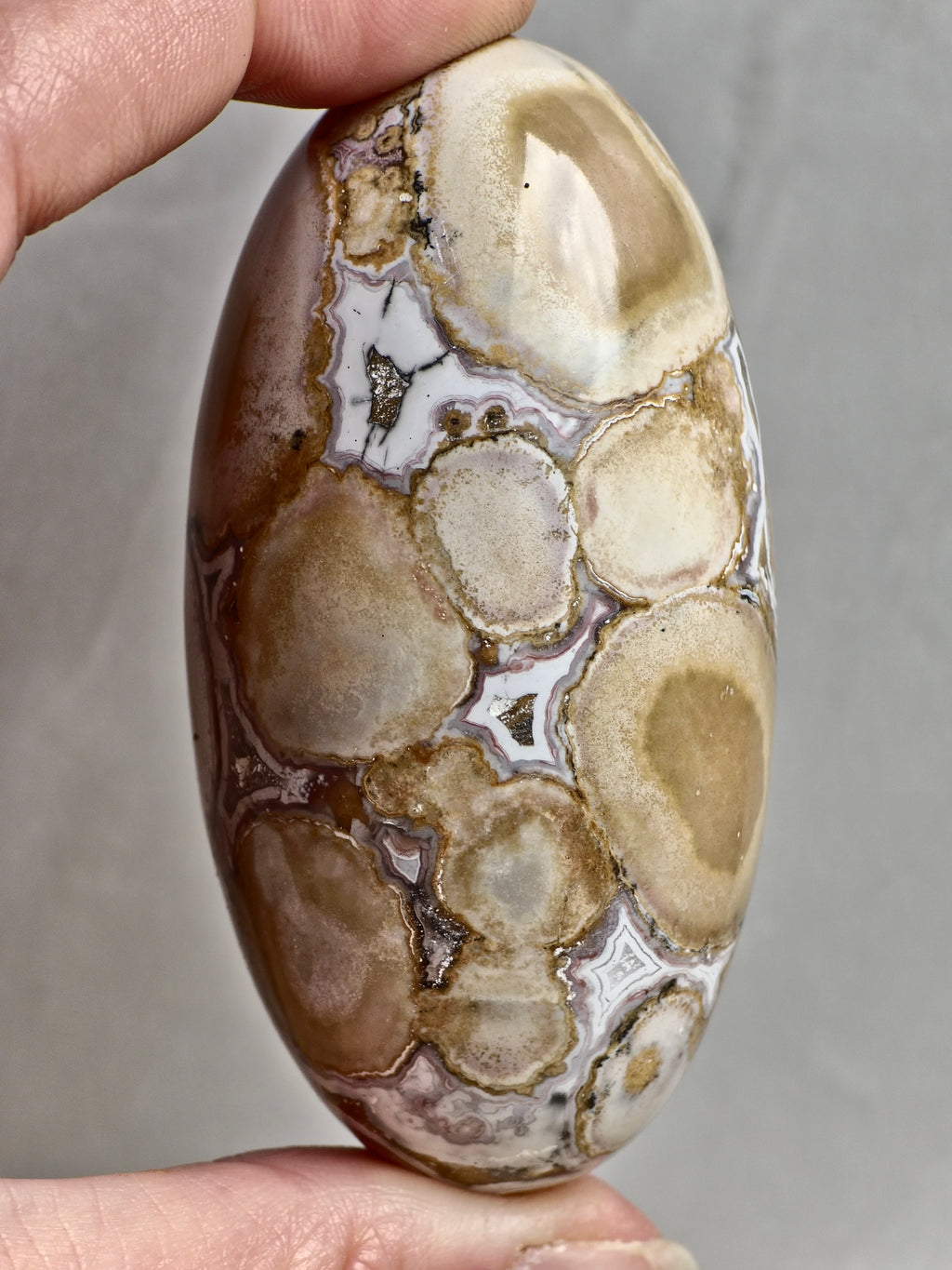 King Cobra (Orbicular) Indian Jasper Shiva Lingham