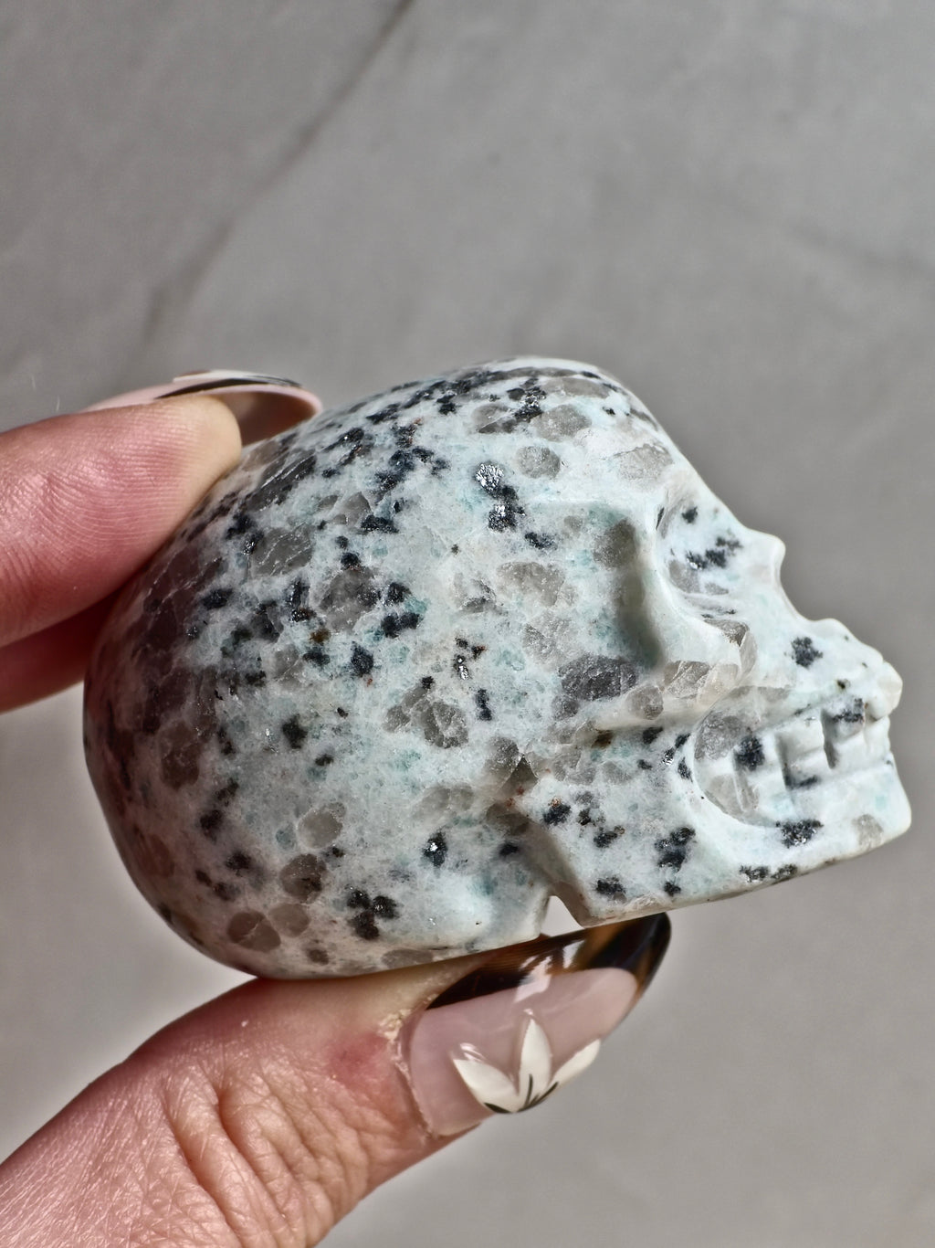 Kiwi Jasper Skull Carving