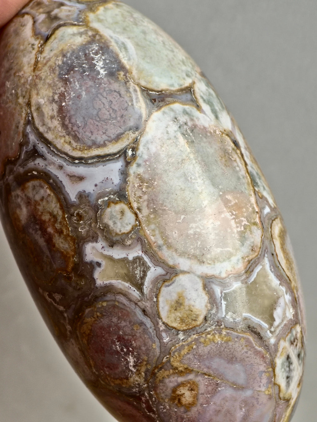 King Cobra (Orbicular) Indian Jasper Shiva Lingham