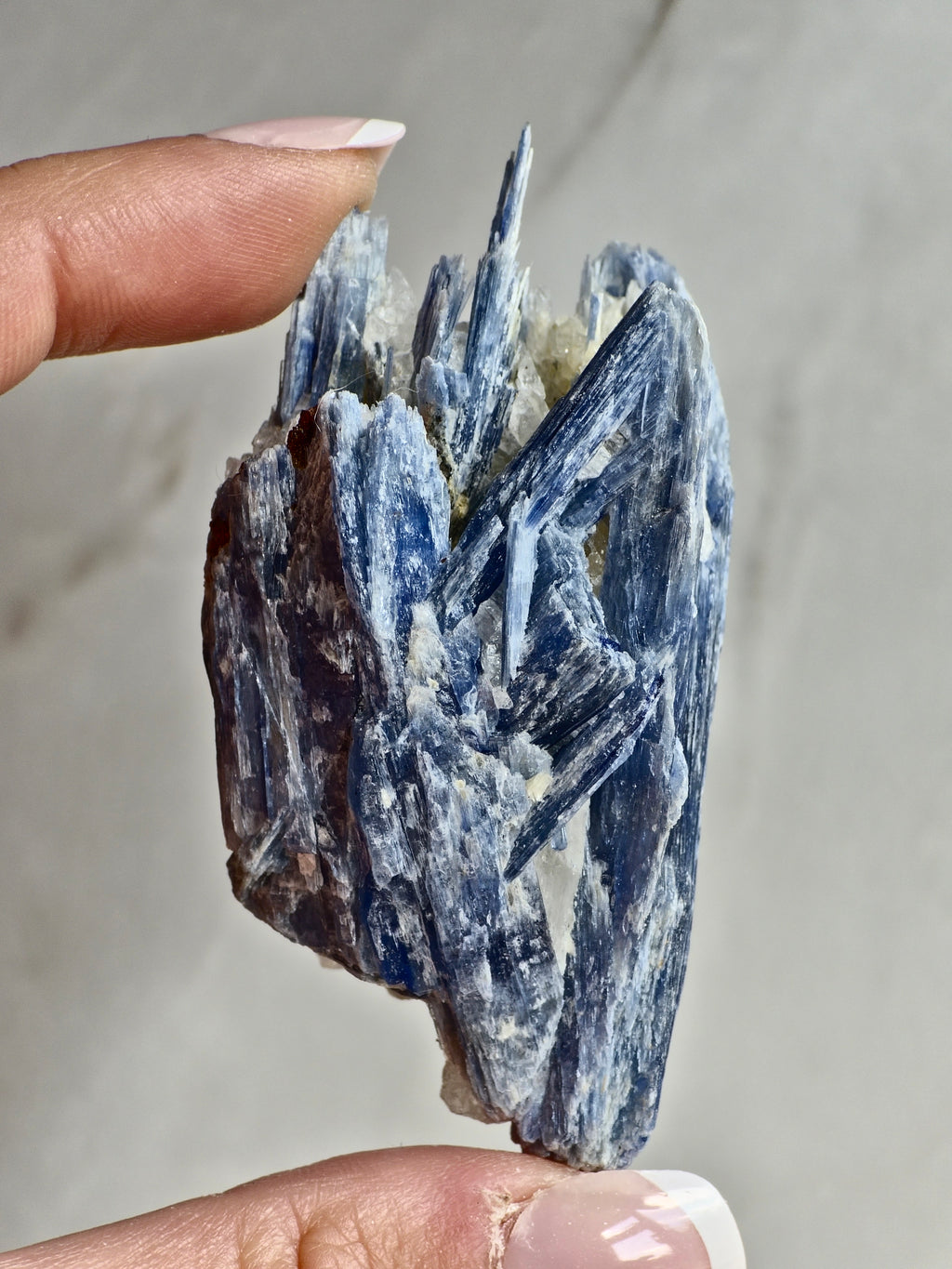 Blue Kyanite on Quartz — Bladed Crystal Growth with Quartz Matrix