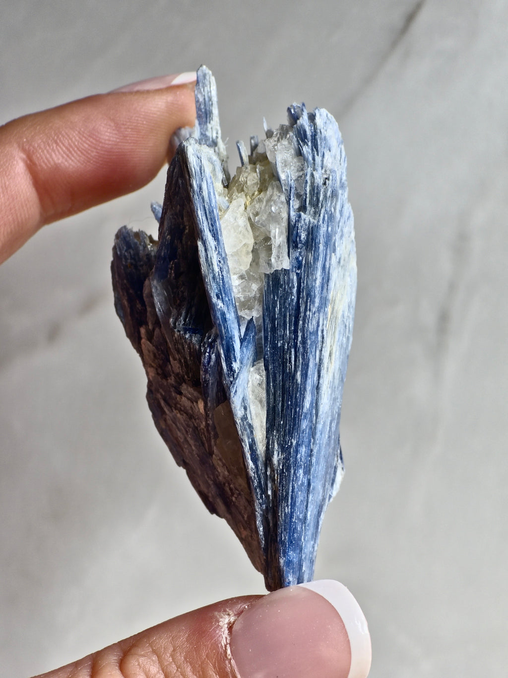 Blue Kyanite on Quartz — Bladed Crystal Growth with Quartz Matrix