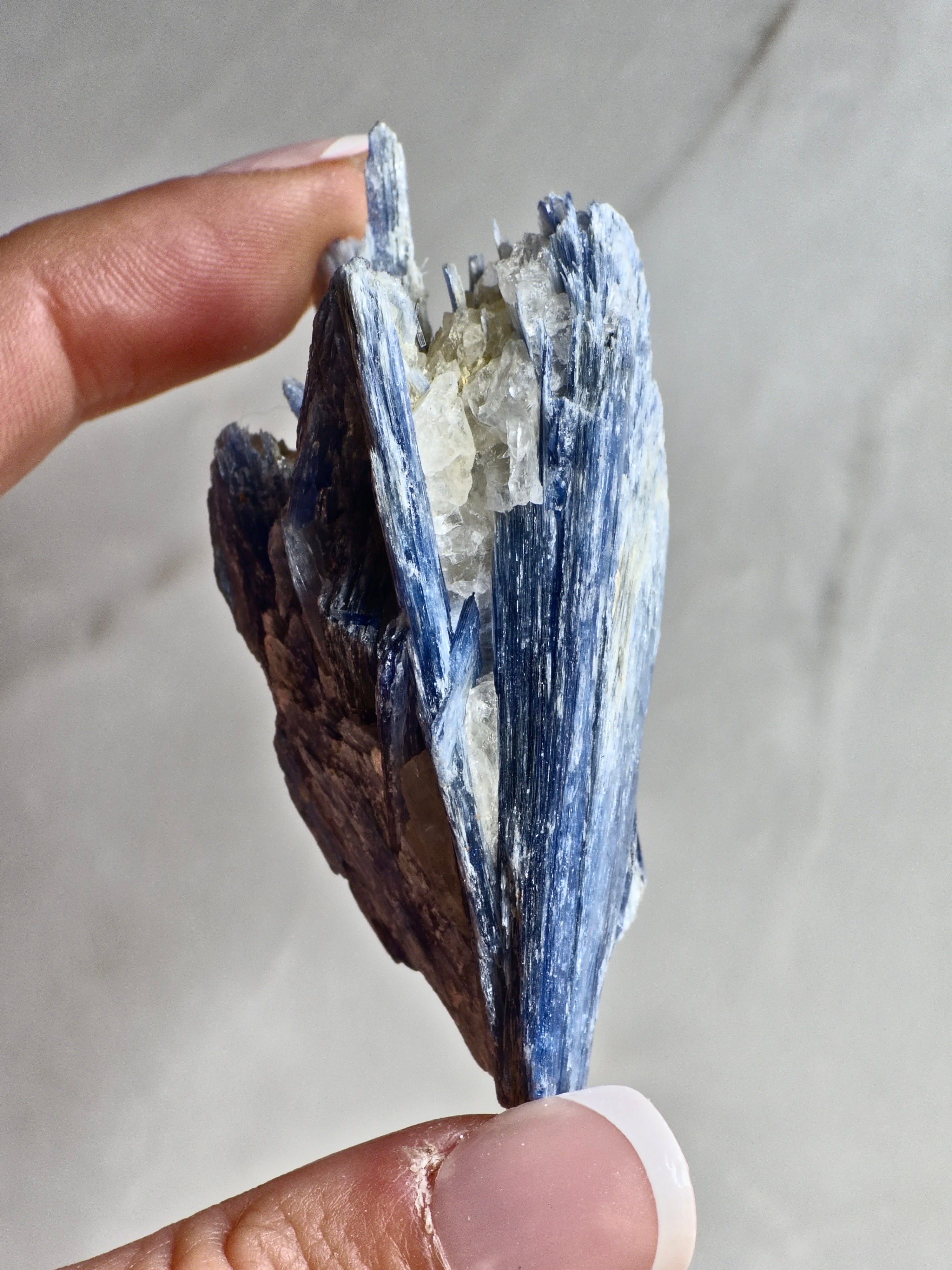 Blue Kyanite on Quartz — Bladed Crystal Growth with Quartz Matrix