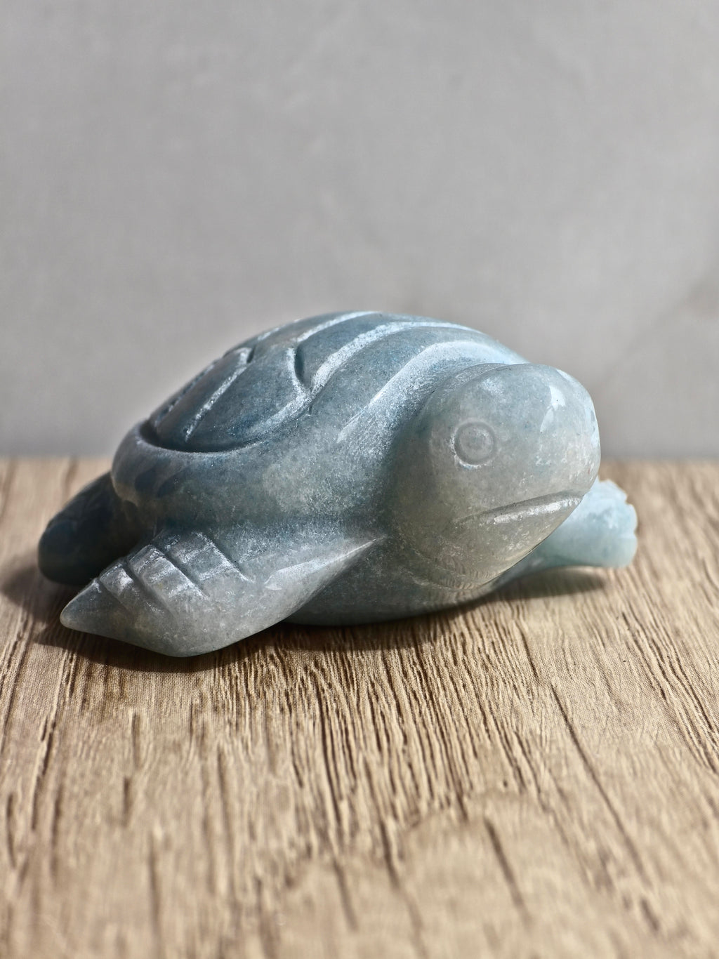 Blue Trolleite Turtle