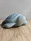 Blue Trolleite Turtle
