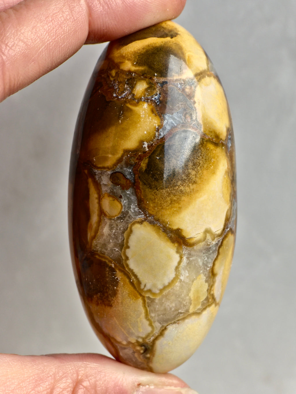 King Cobra (Orbicular) Indian Jasper Shiva Lingham