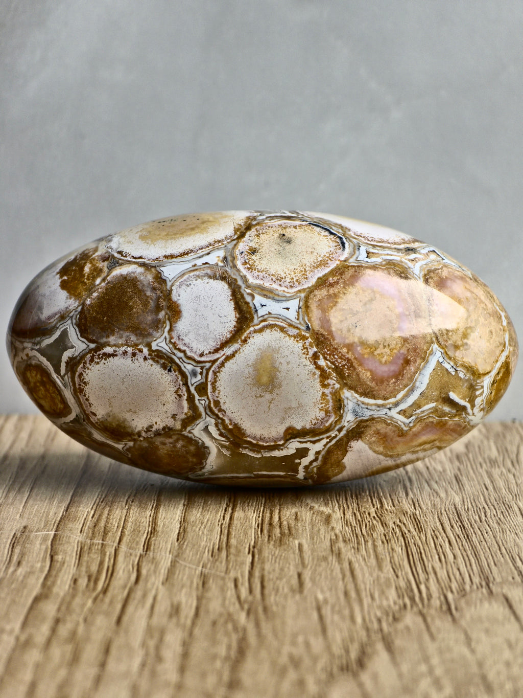 King Cobra (Orbicular) Indian Jasper Shiva Lingham