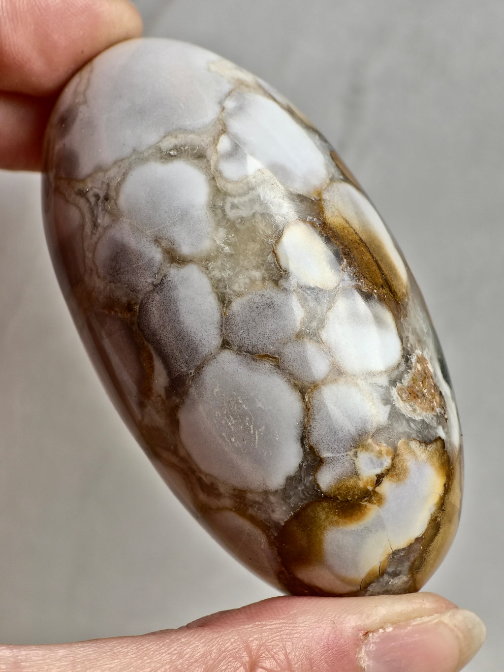 King Cobra (Orbicular) Indian Jasper Shiva Lingham