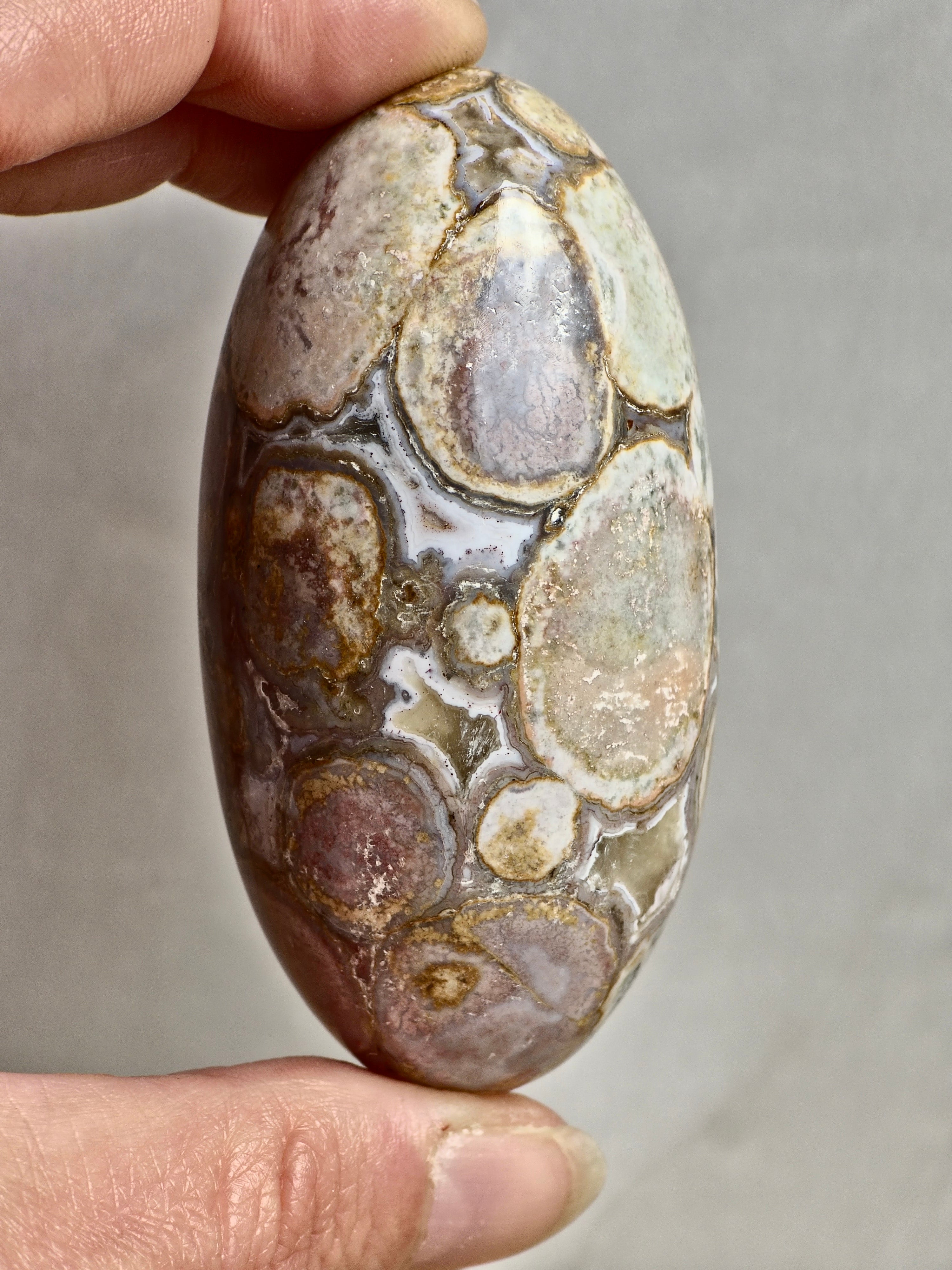 King Cobra (Orbicular) Indian Jasper Shiva Lingham