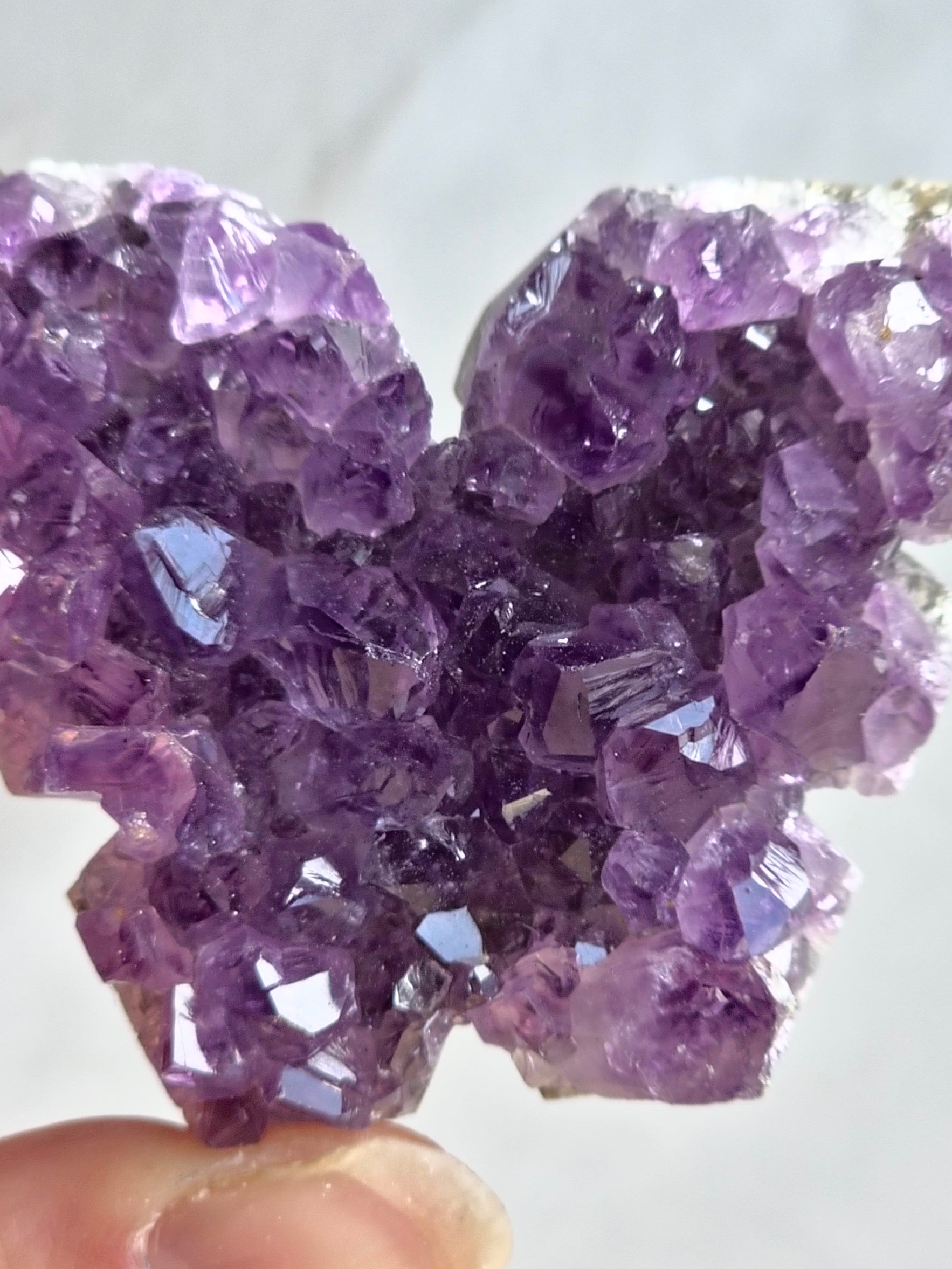 Amethyst Druzy Butterfly Carving