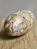 King Cobra (Orbicular) Indian Jasper Shiva Lingham