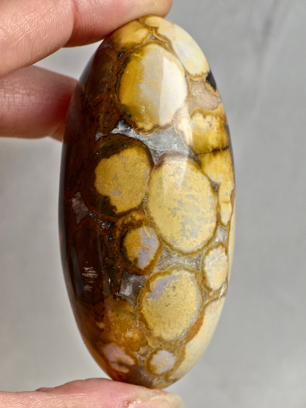 King Cobra (Orbicular) Indian Jasper Shiva Lingham